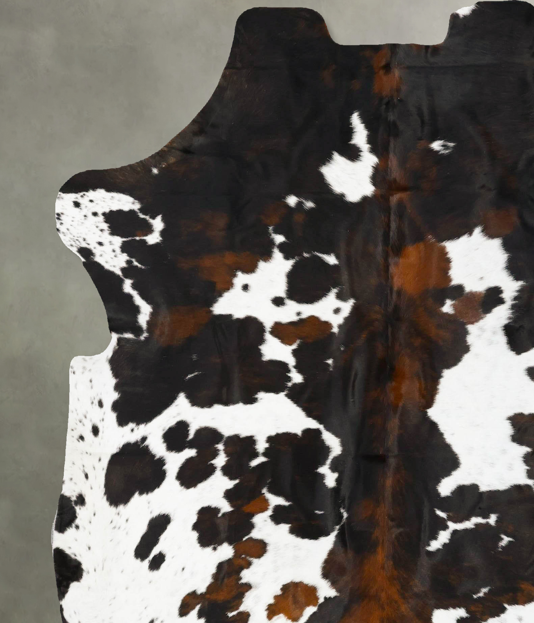 Tricolor Cowhide Rug #B23028