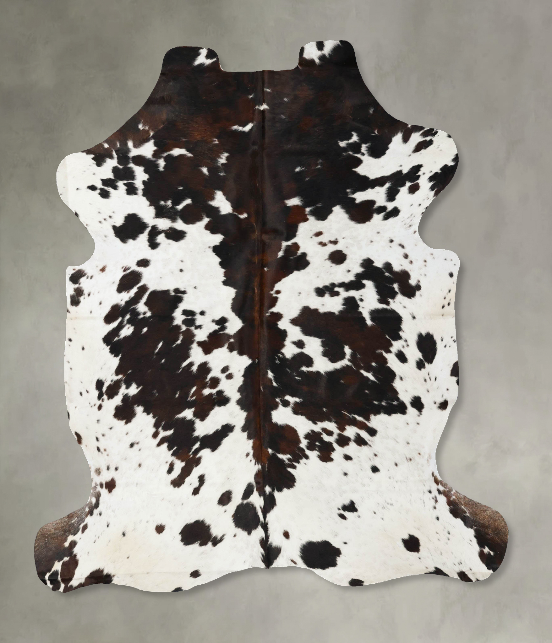 Tricolor Cowhide Rug #B23029