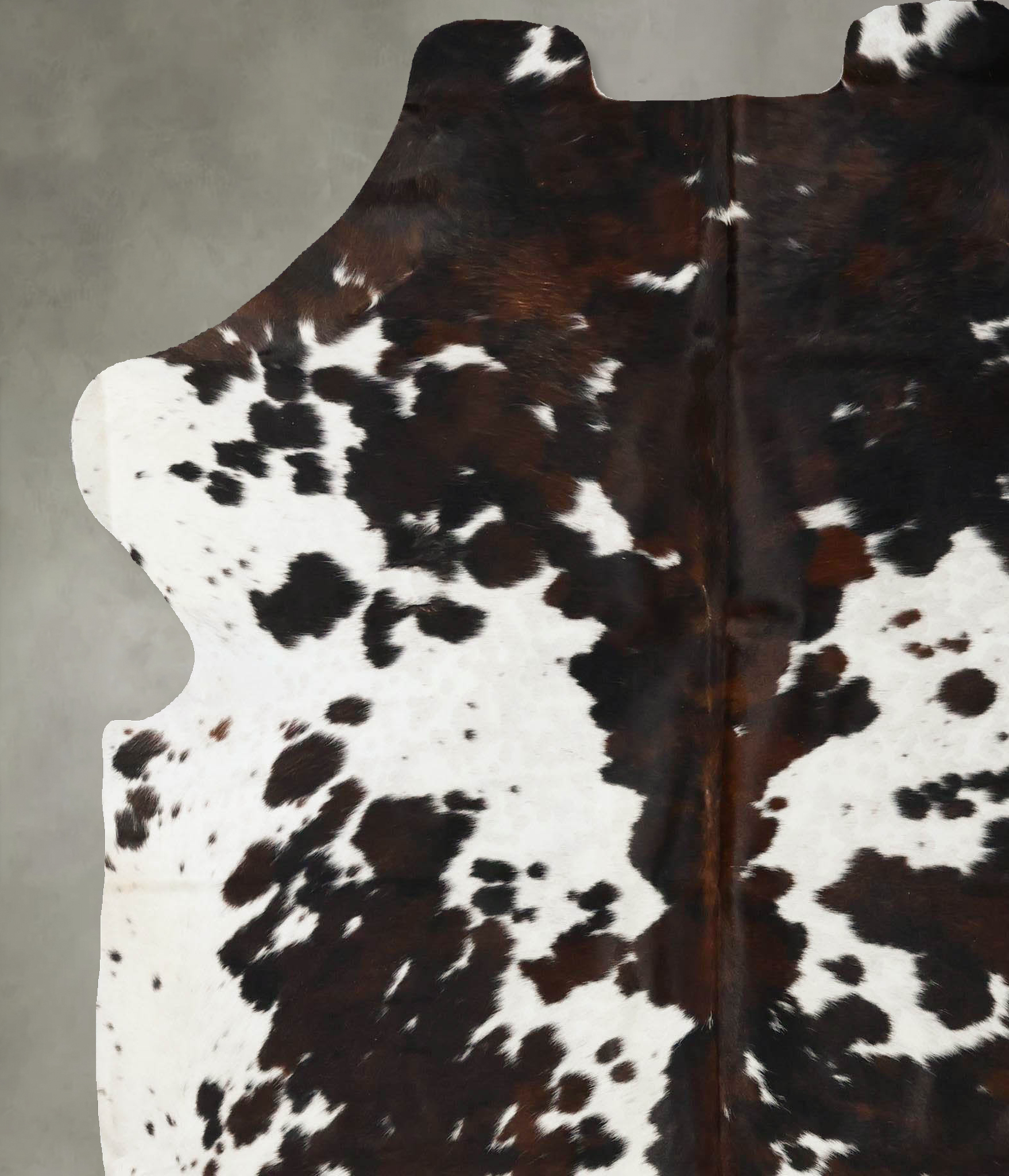 Tricolor Cowhide Rug #B23029