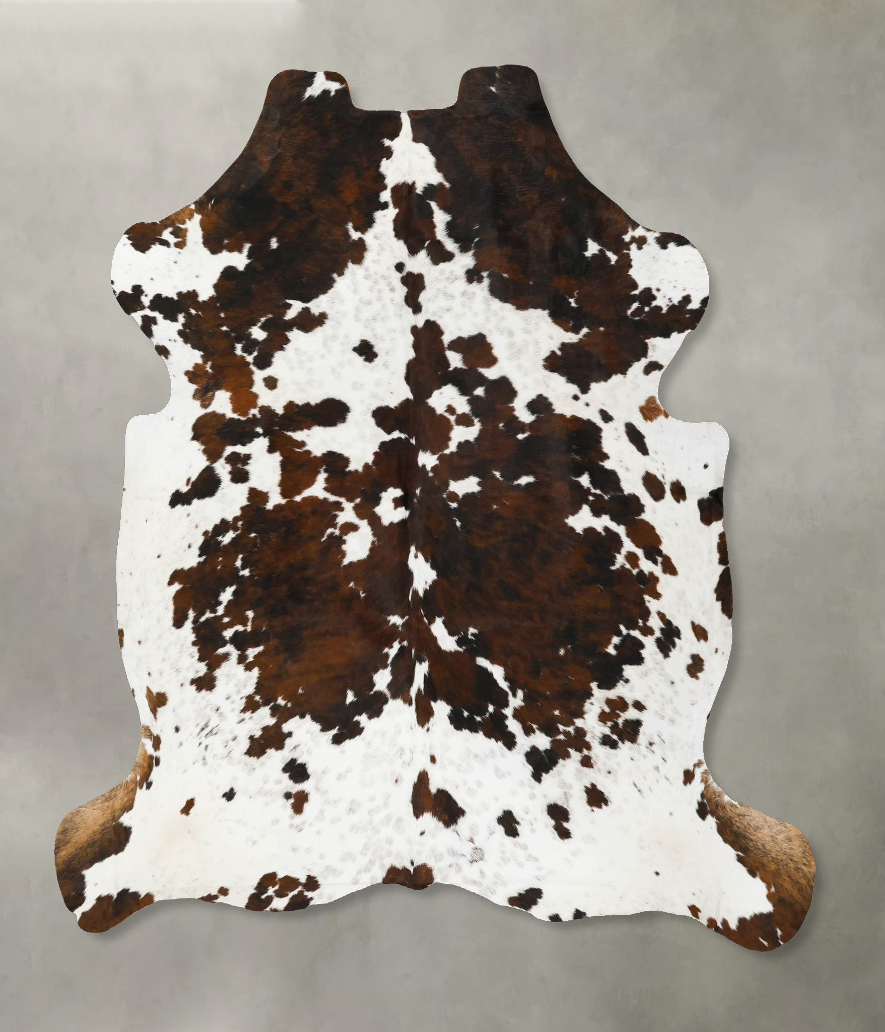 Tricolor Cowhide Rug #B23031