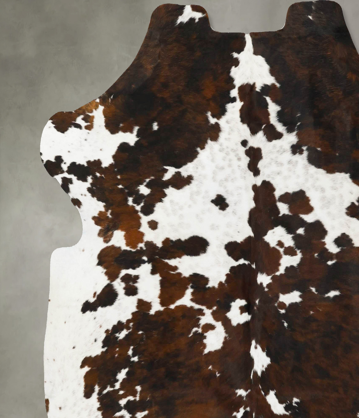 Tricolor X-Large European Cowhide Rug 7'1"H x 6'8"W #B23031 by Hudson Hides
