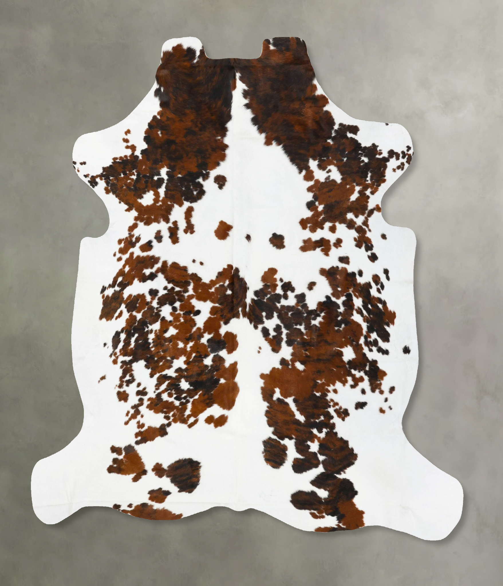 Tricolor Cowhide Rug #B23033