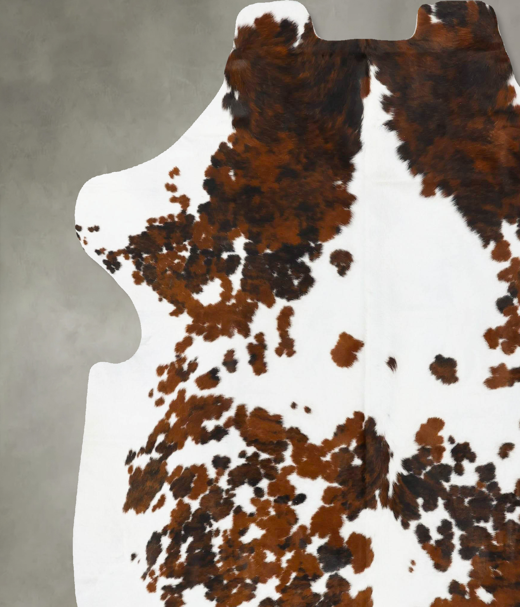 Tricolor Cowhide Rug #B23033