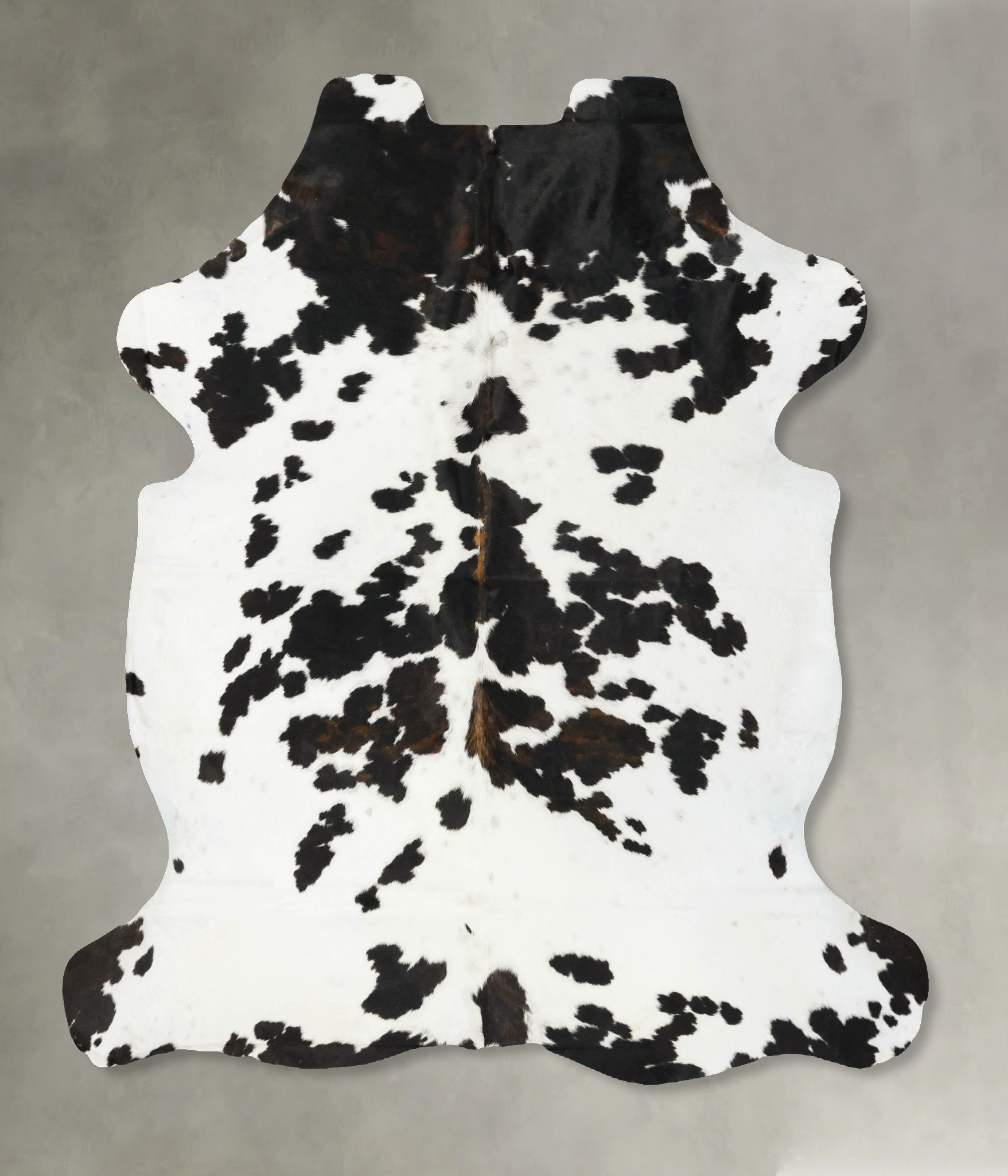 Tricolor Cowhide Rug #B23034