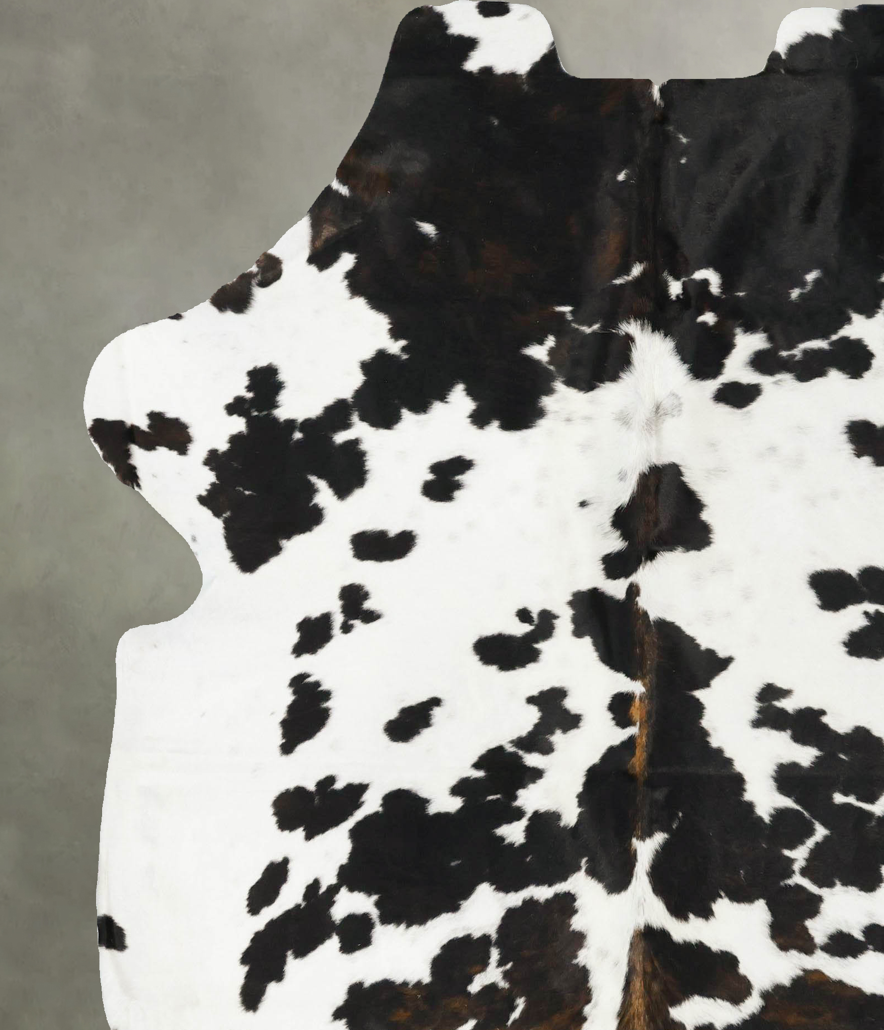 Tricolor Cowhide Rug #B23034