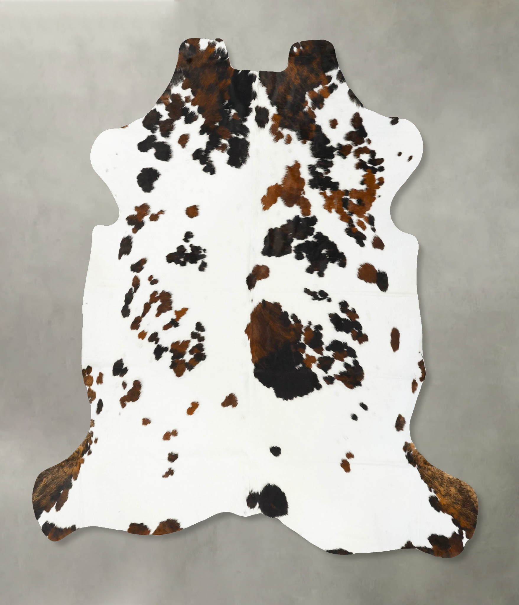 Tricolor Cowhide Rug #B23036