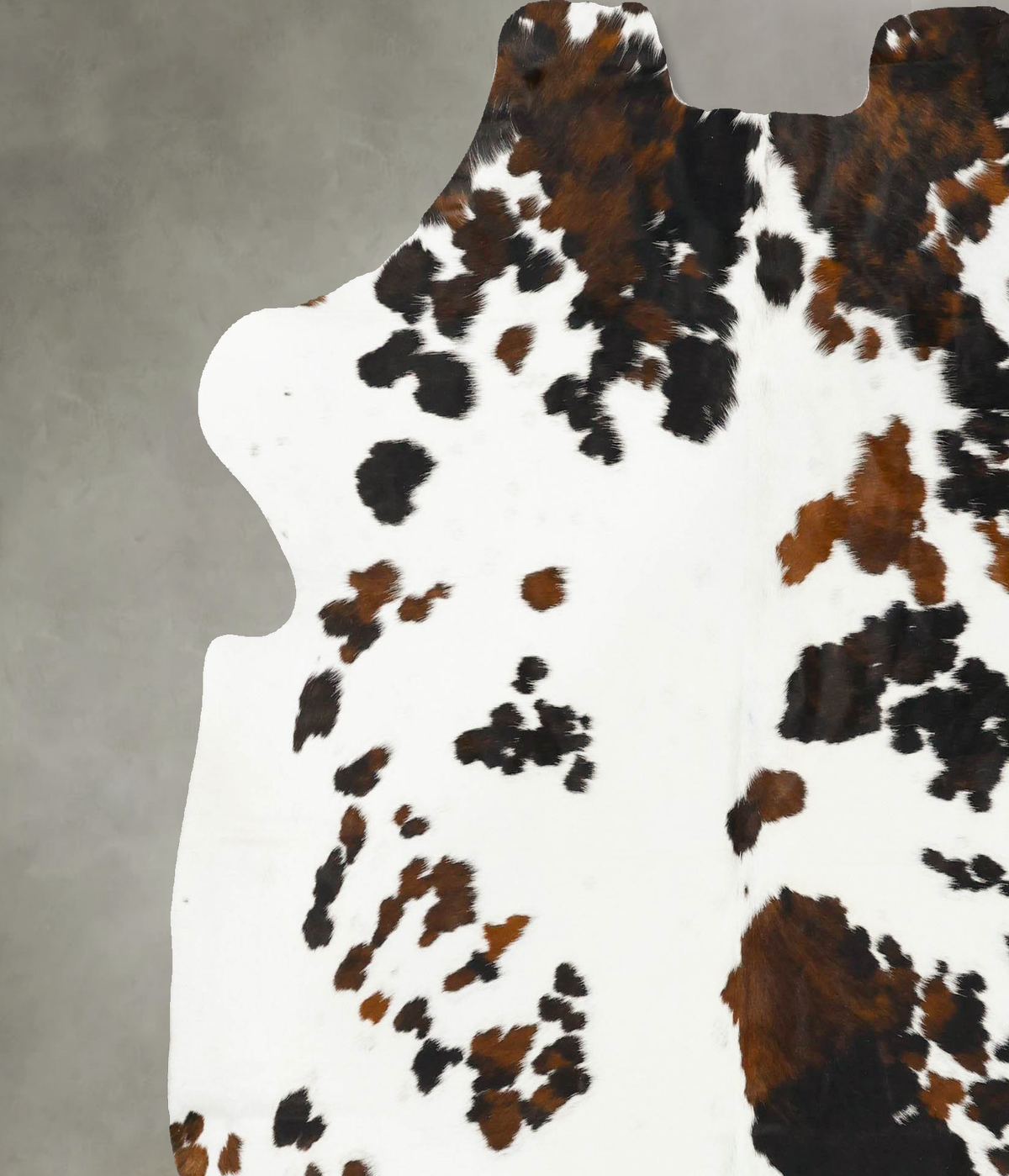 Tricolor X-Large European Cowhide Rug 6'11"H x 6'6"W #B23036 by Hudson Hides