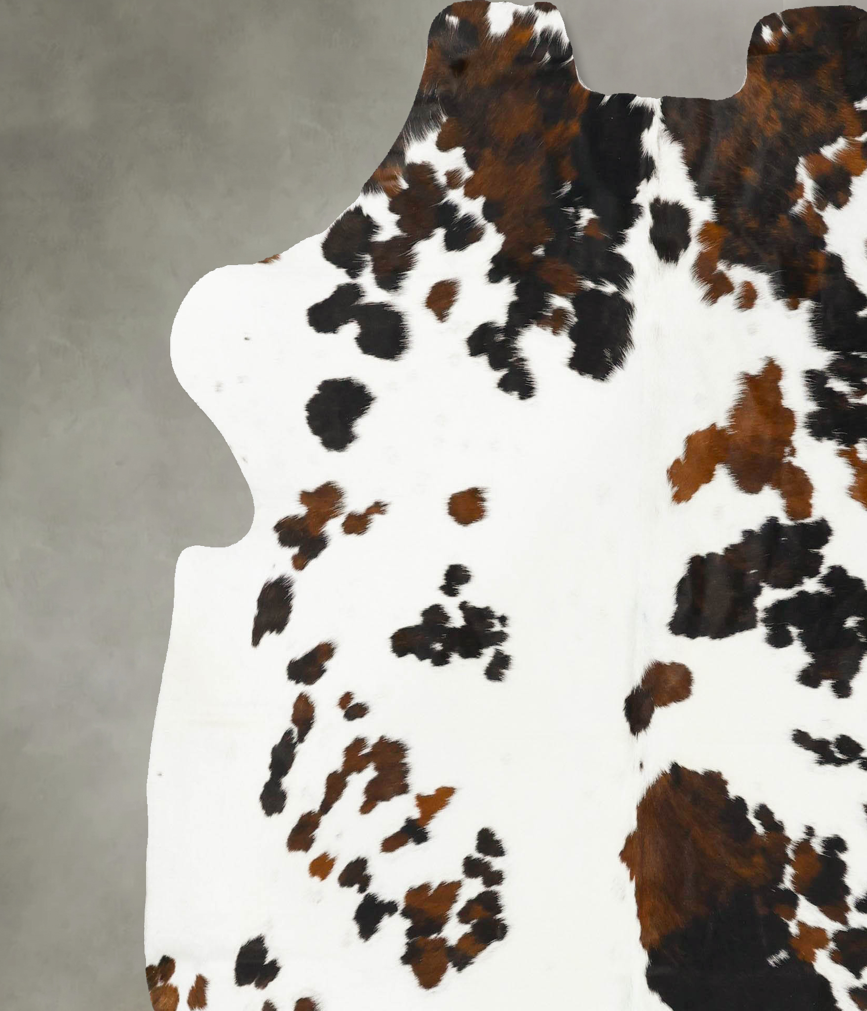 Tricolor Cowhide Rug #B23036