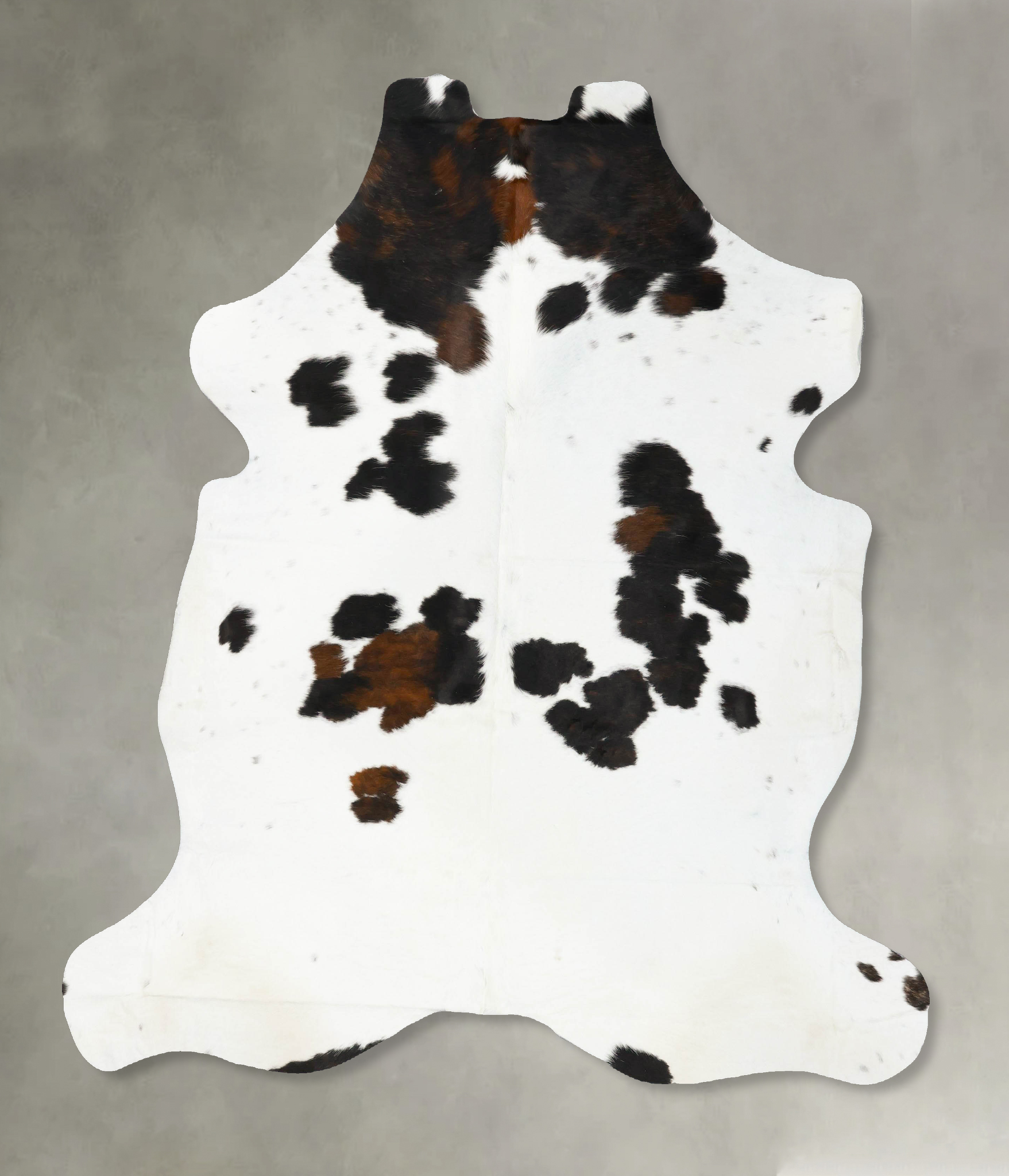 Tricolor Cowhide Rug #B23037