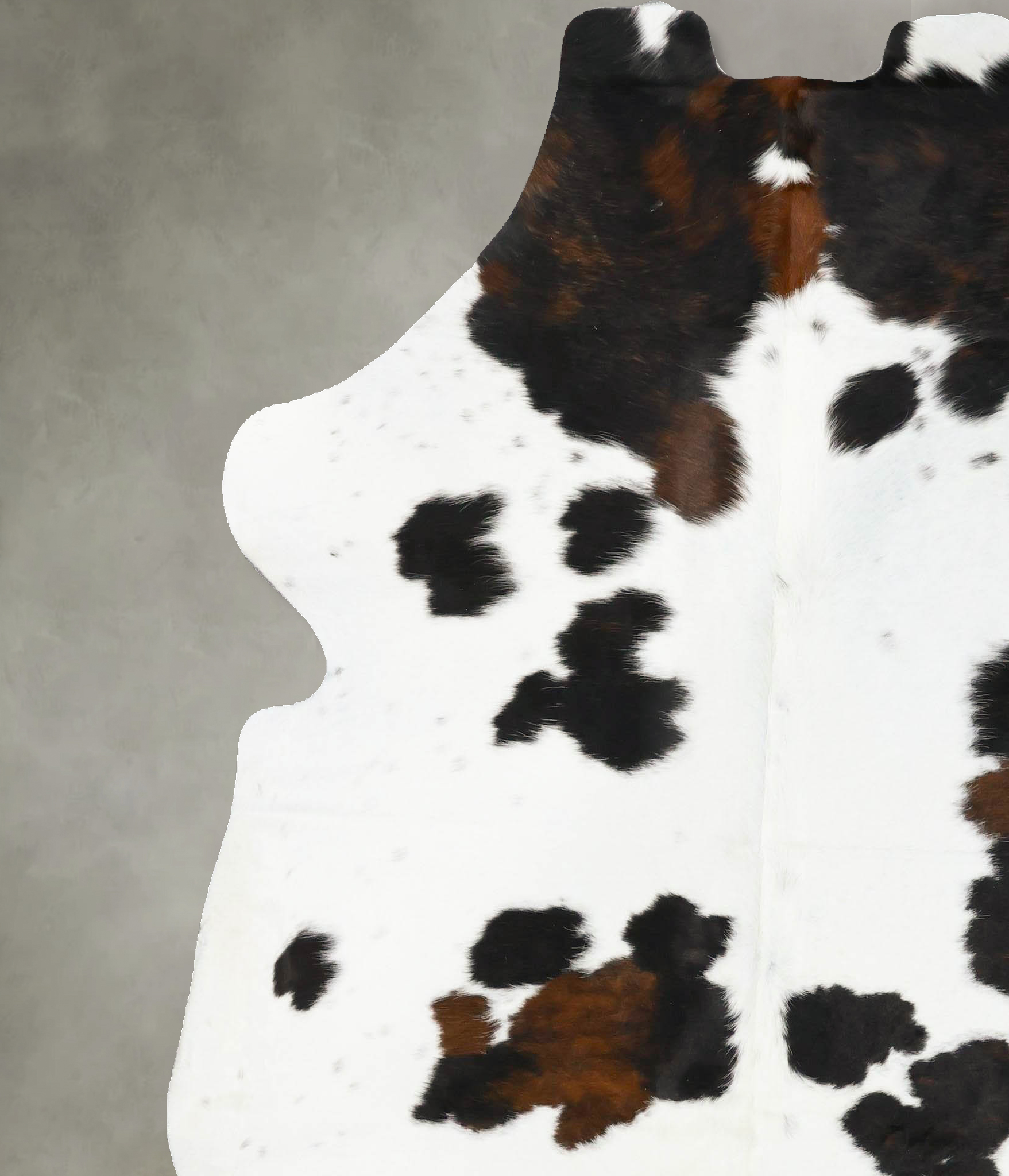 Tricolor Cowhide Rug #B23037