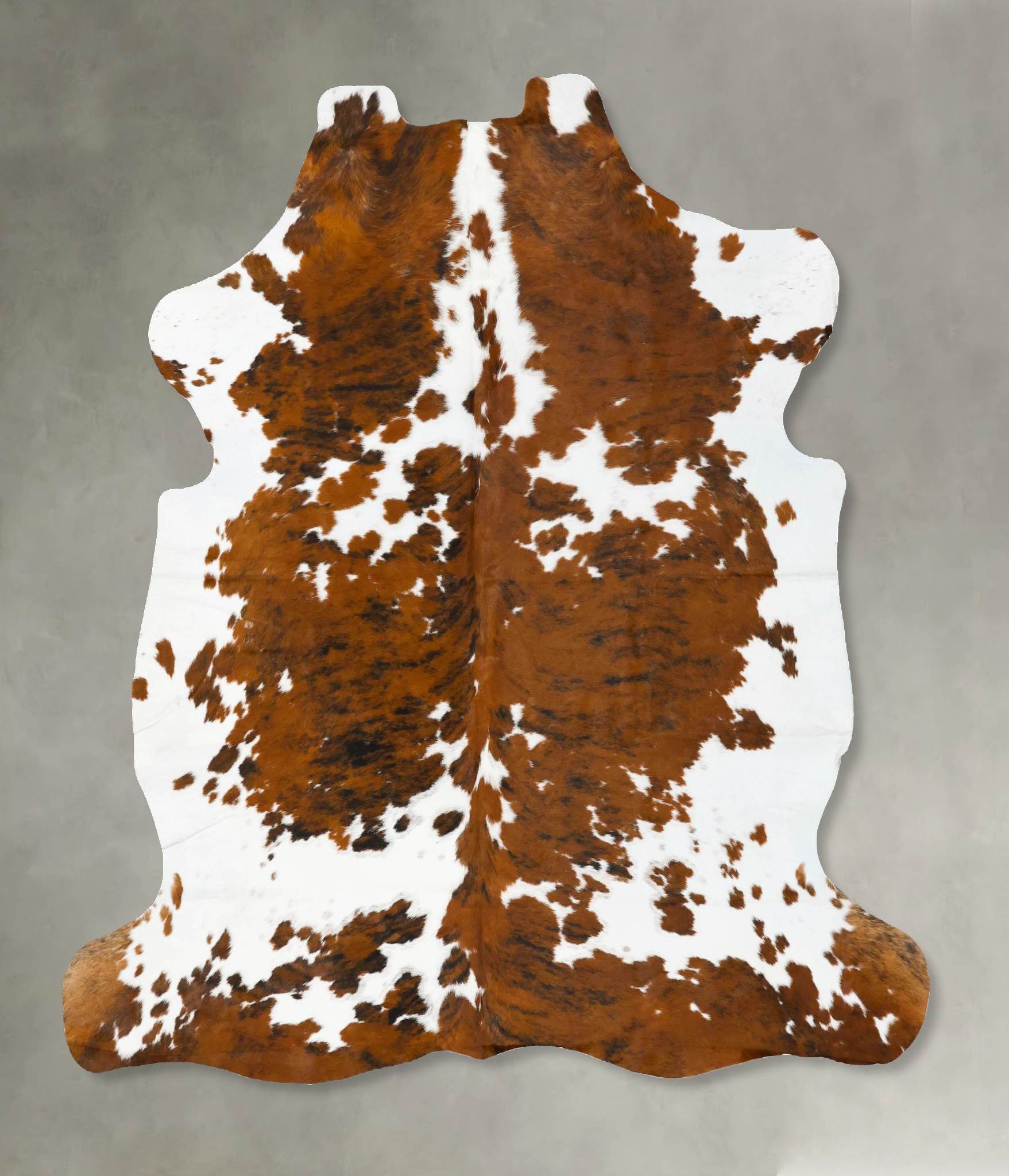 Tricolor Cowhide Rug #B23038