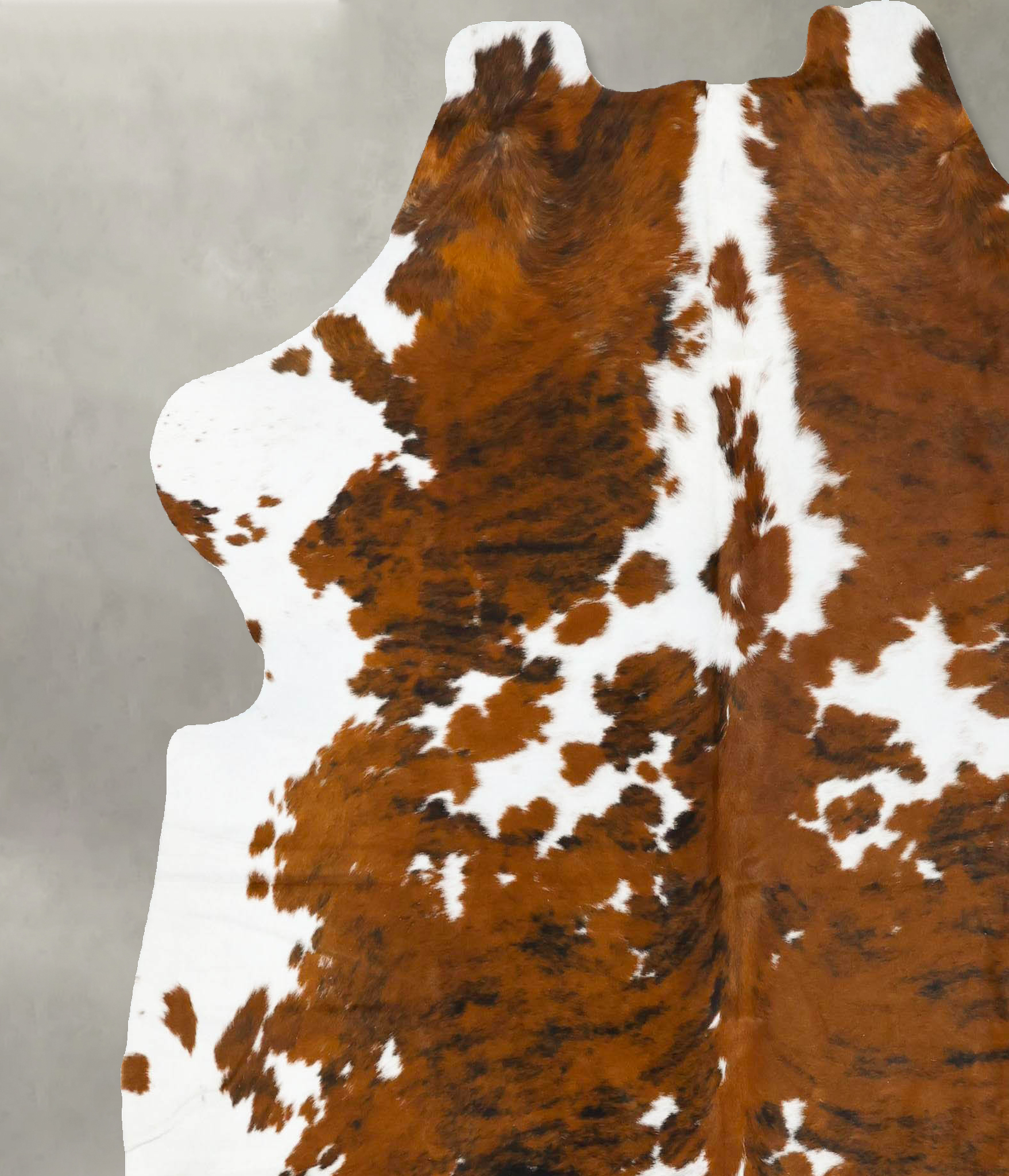 Tricolor Cowhide Rug #B23038