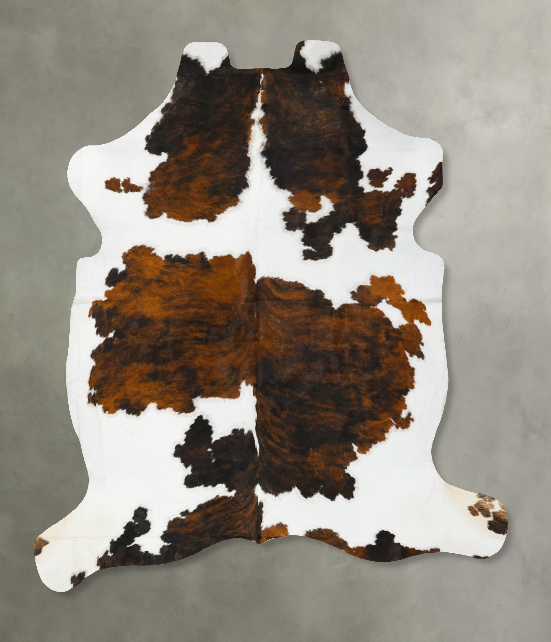 Tricolor Cowhide Rug #B23039