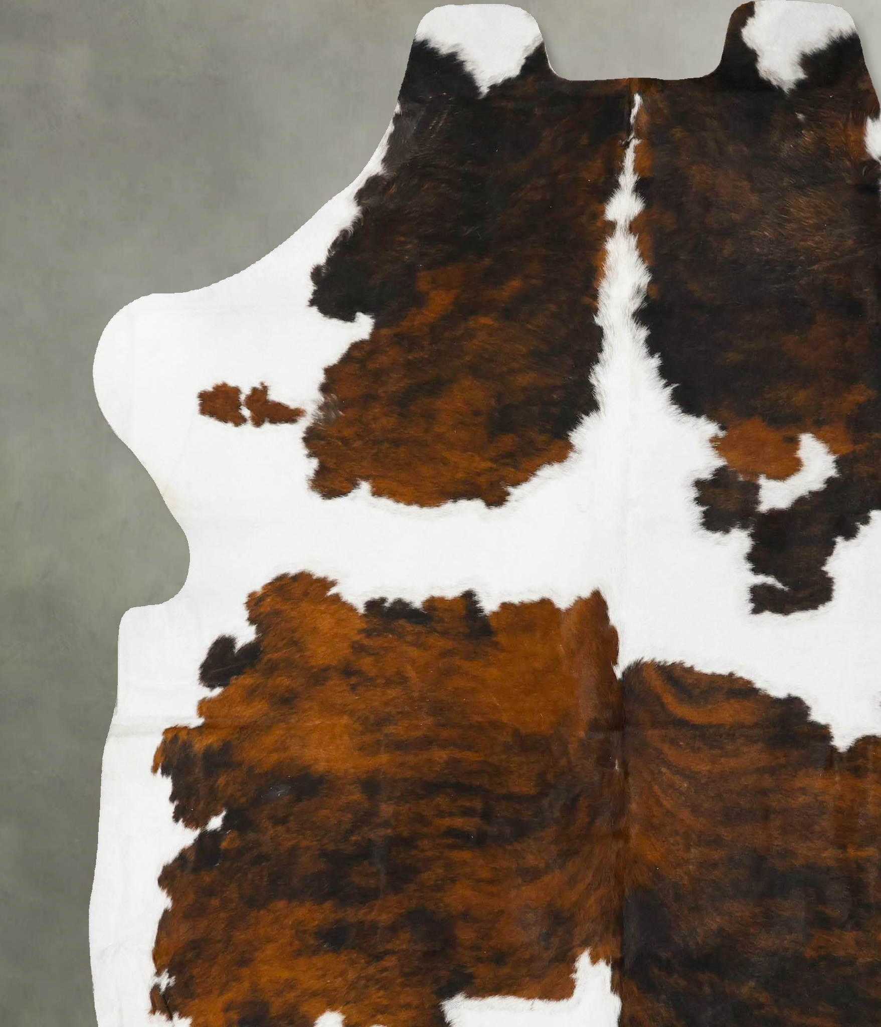 Tricolor Cowhide Rug #B23039