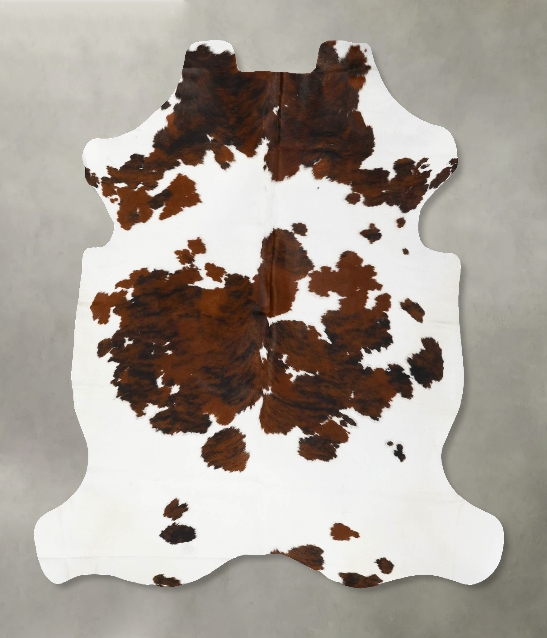 Tricolor Cowhide Rug #B23040