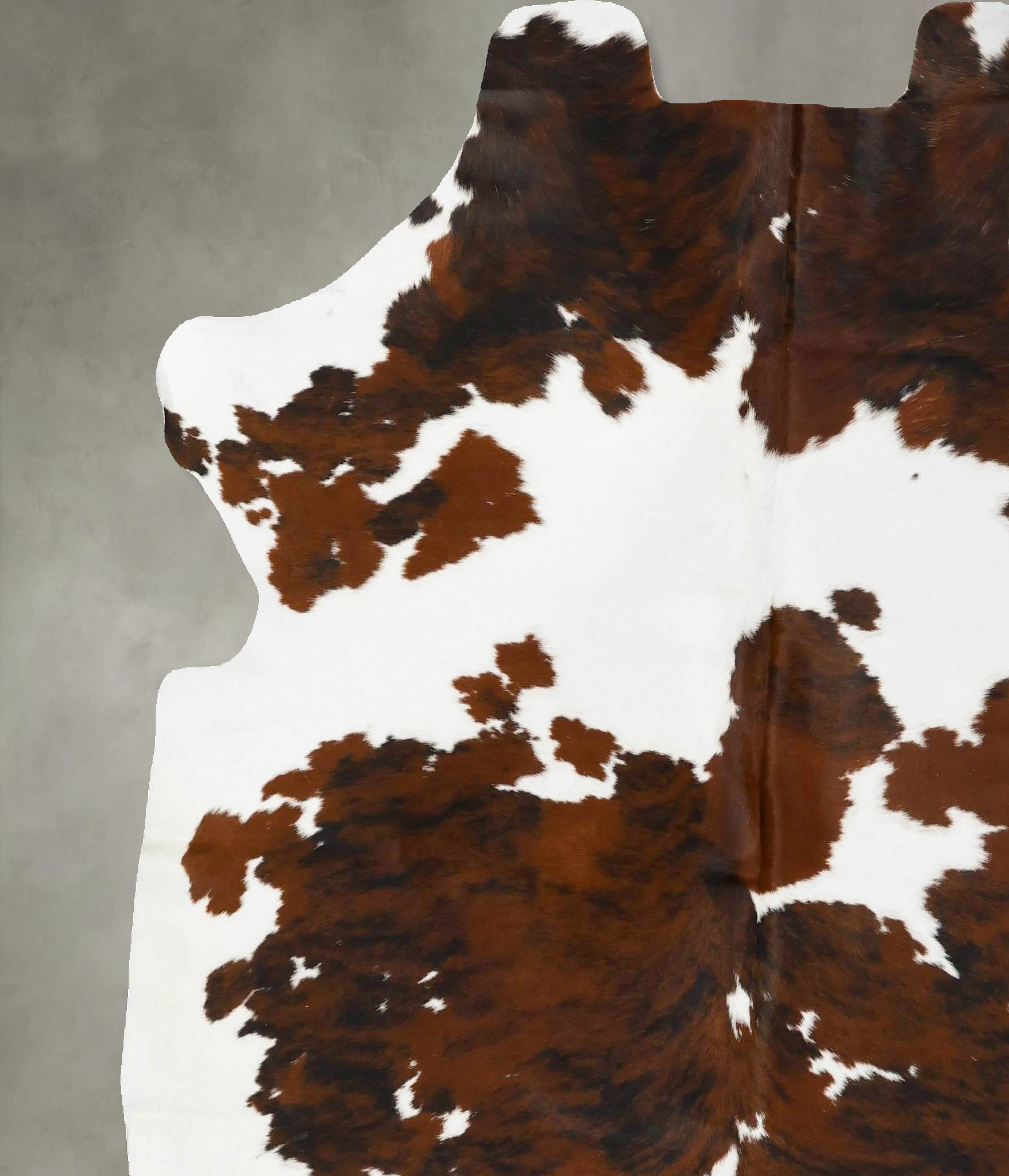 Tricolor Cowhide Rug #B23040
