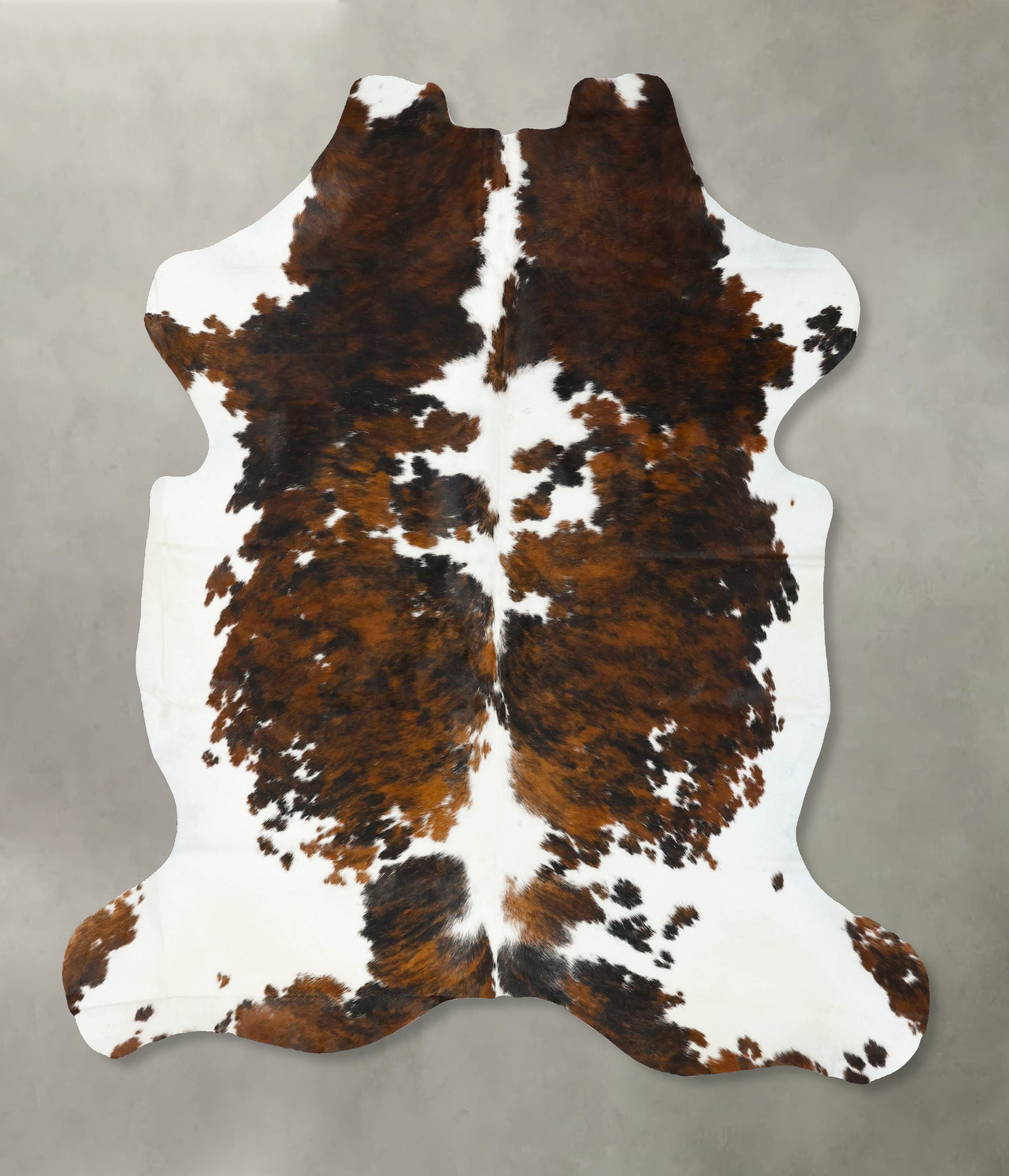 Tricolor Cowhide Rug #B23041
