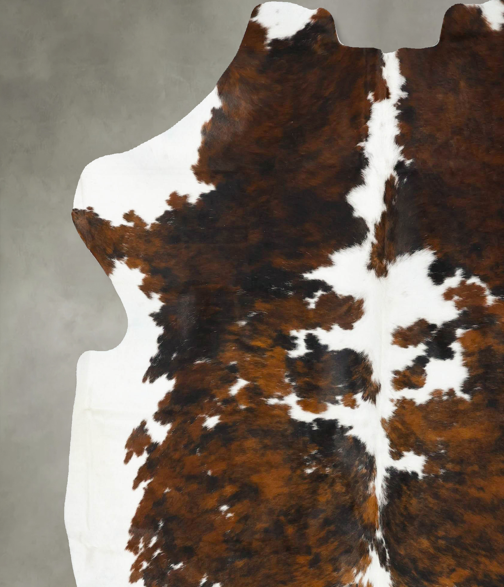 Tricolor Cowhide Rug #B23041