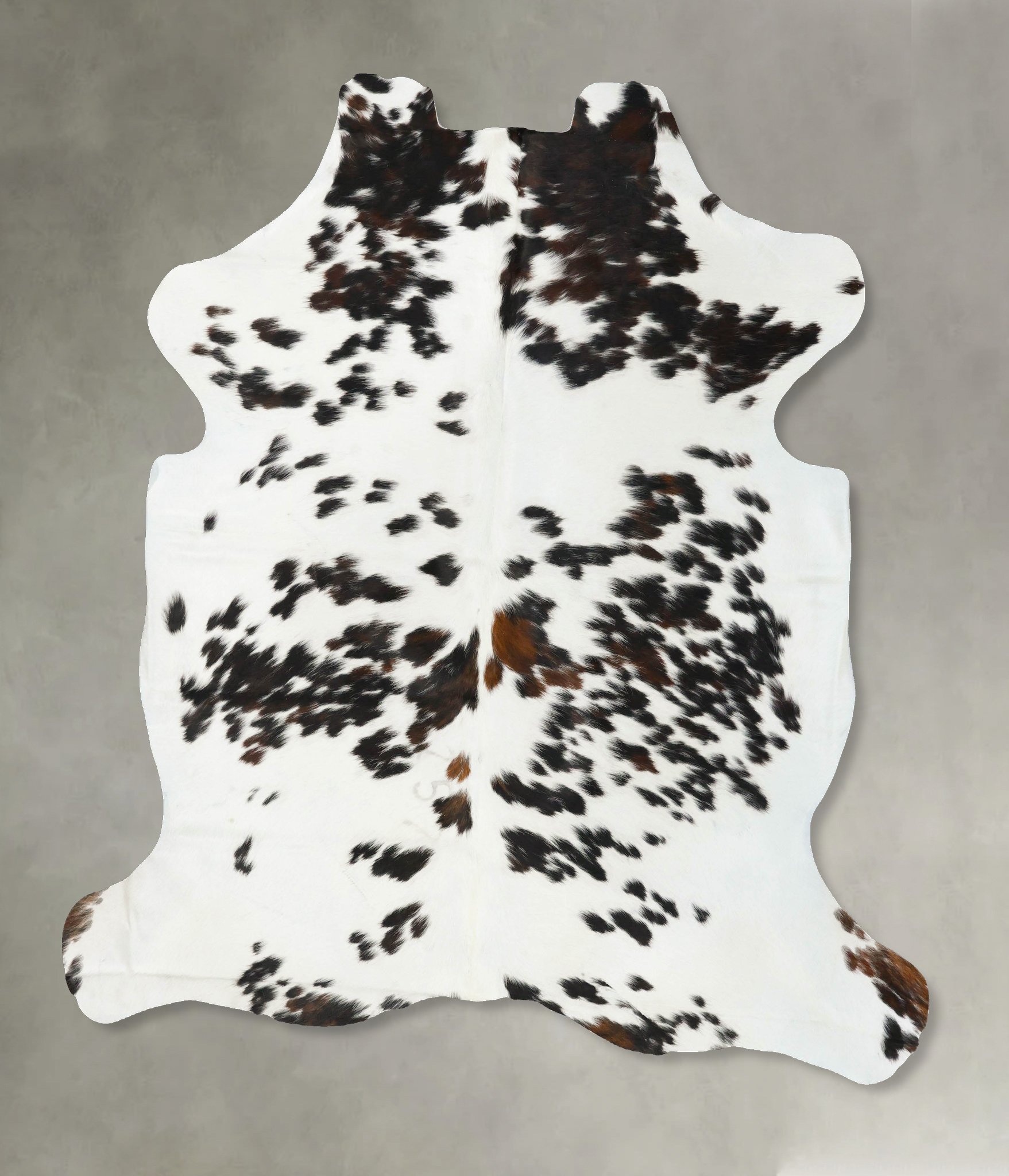 Tricolor Cowhide Rug #B23042