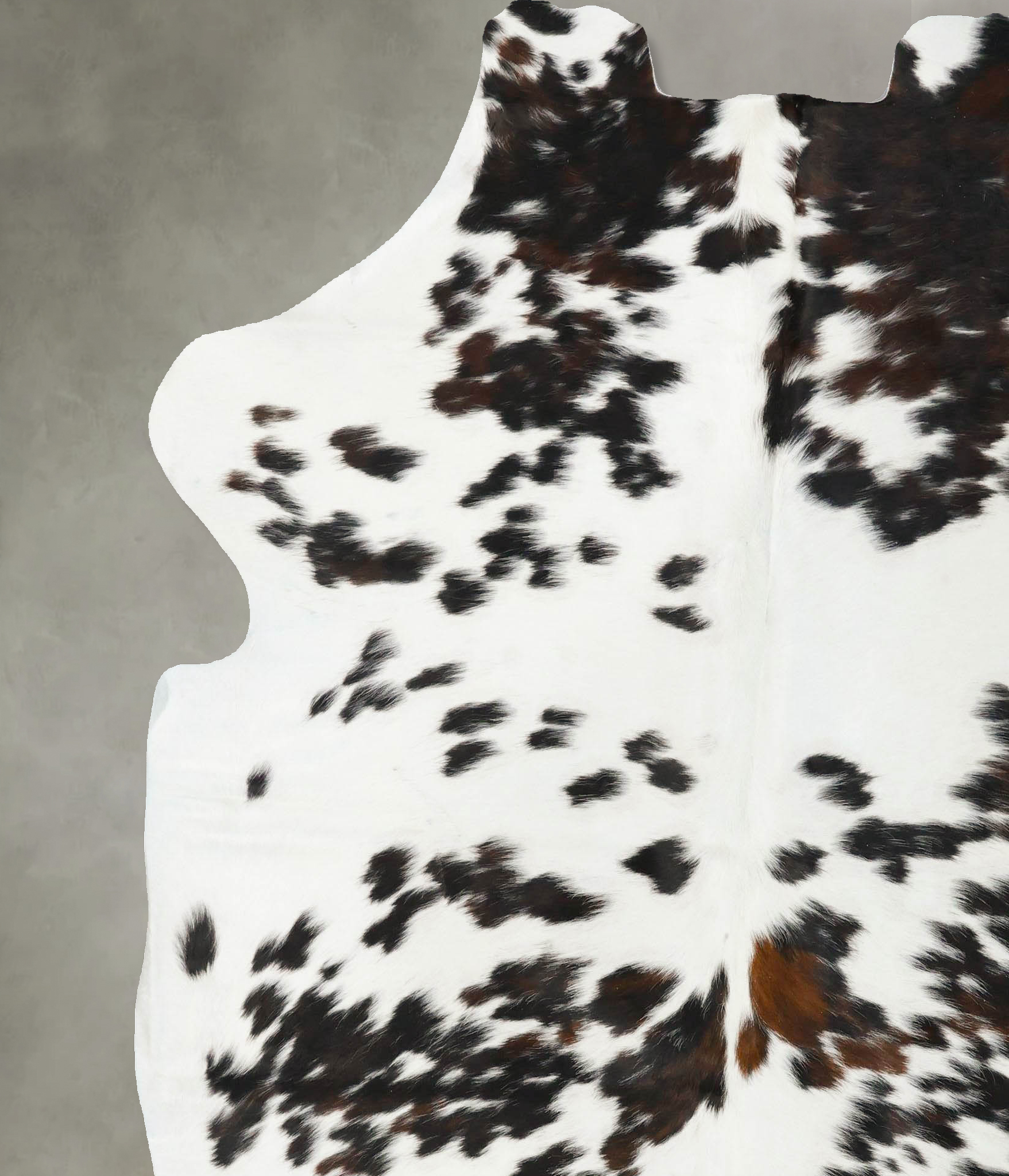 Tricolor Cowhide Rug #B23042