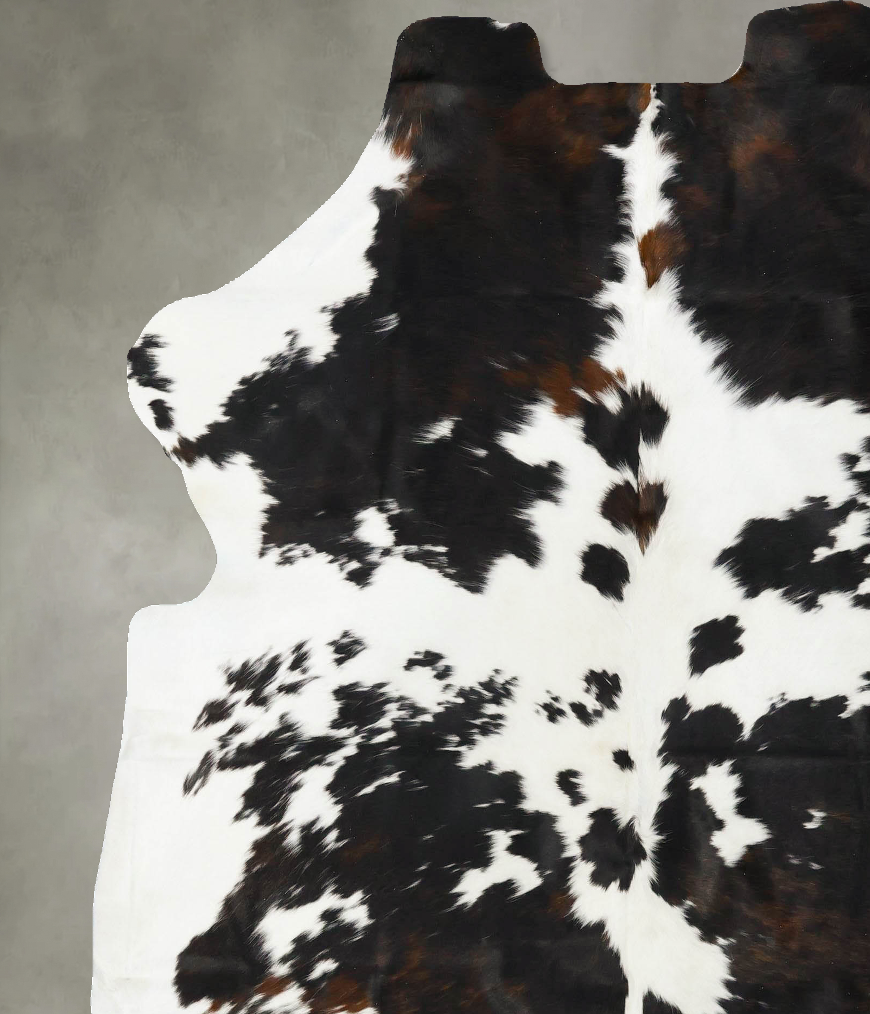 Tricolor Cowhide Rug #B23043