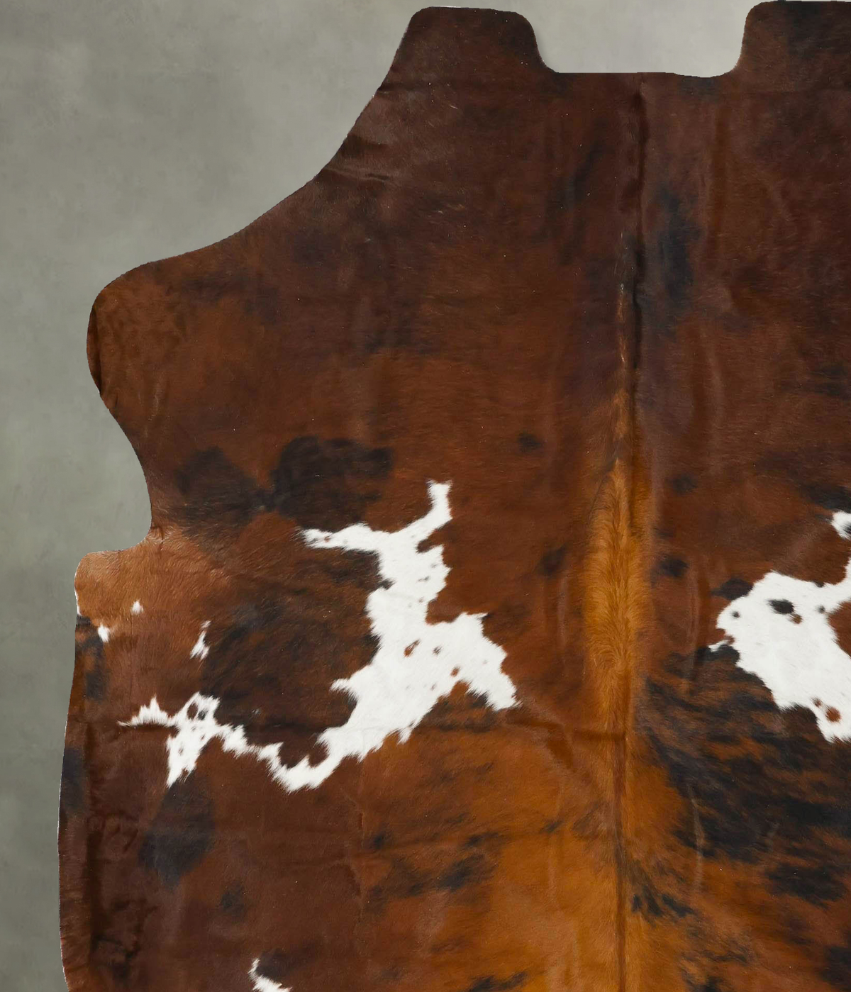 Tricolor X-Large European Cowhide Rug 7'2"H x 6'5"W #B23045 by Hudson Hides