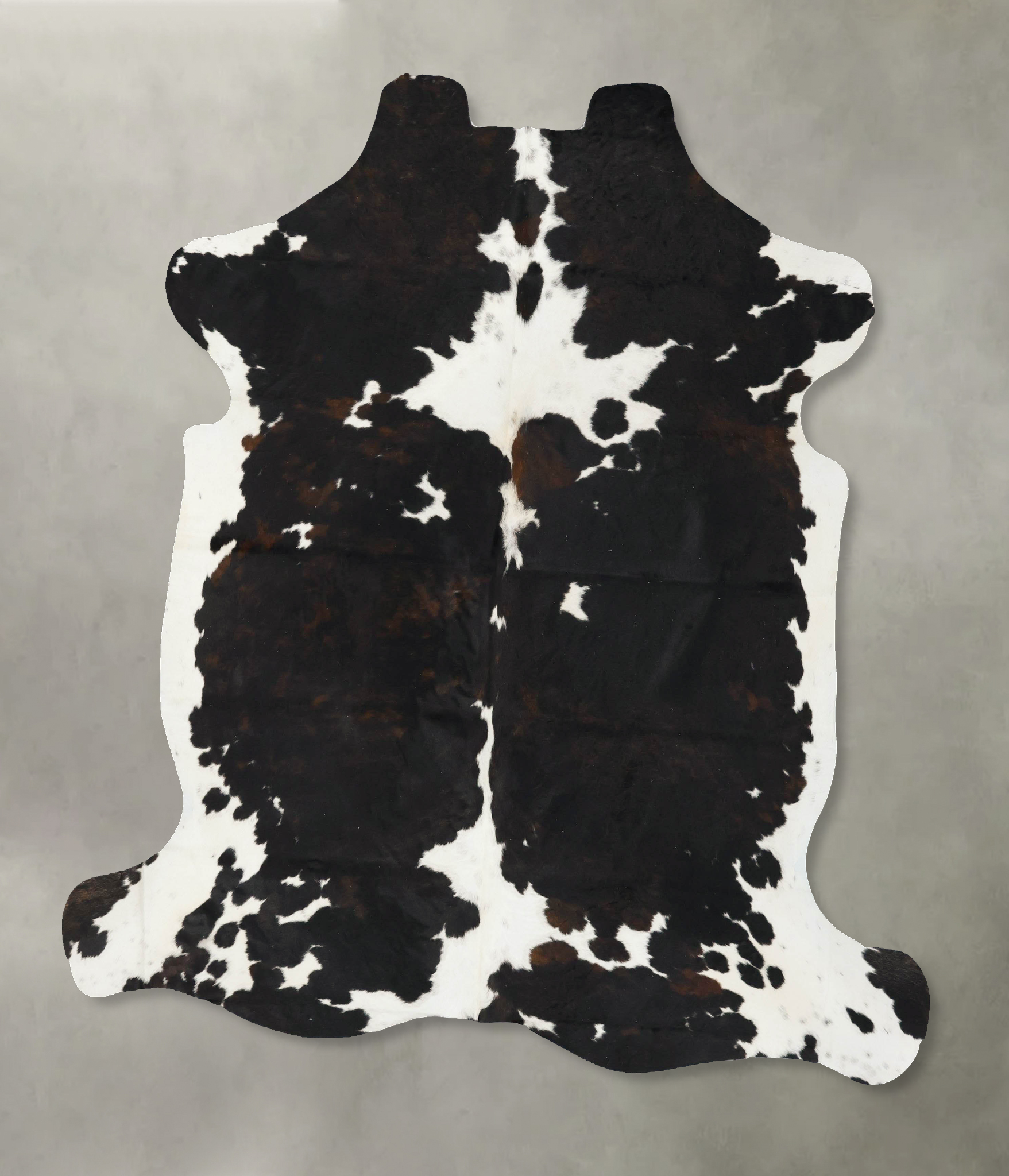Tricolor Cowhide Rug #B23046