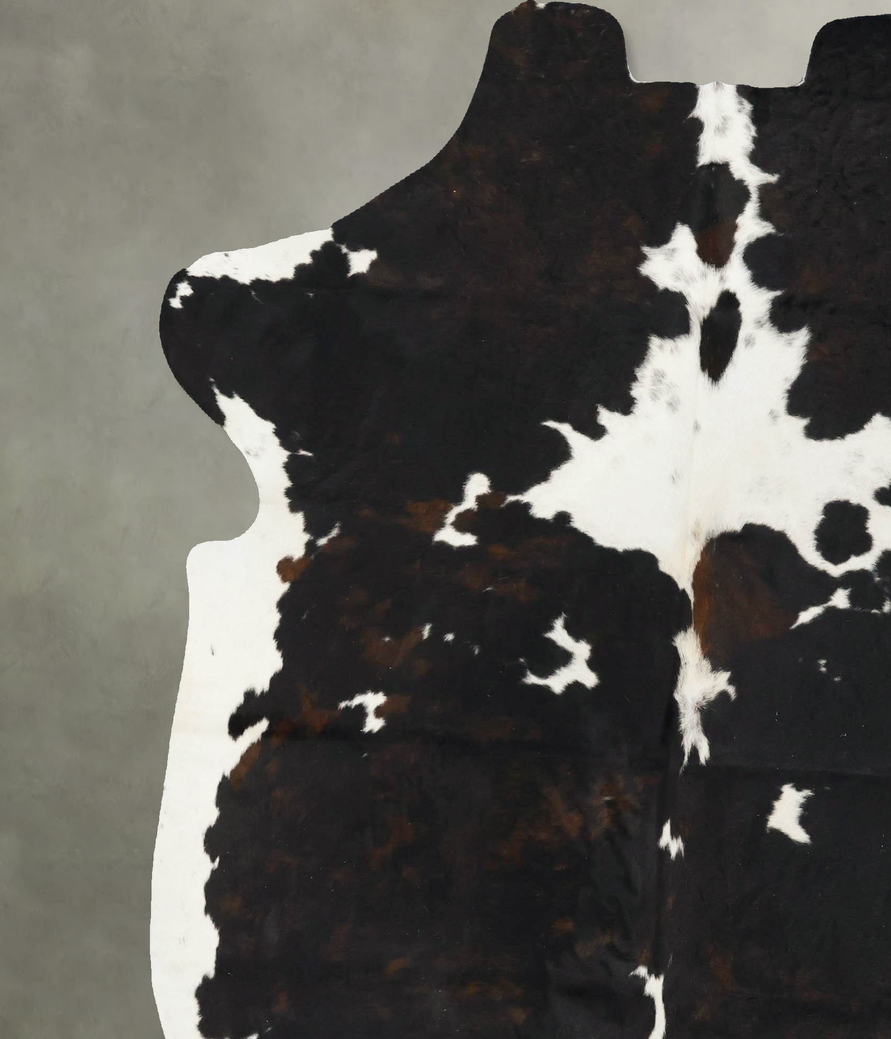 Tricolor Cowhide Rug #B23046