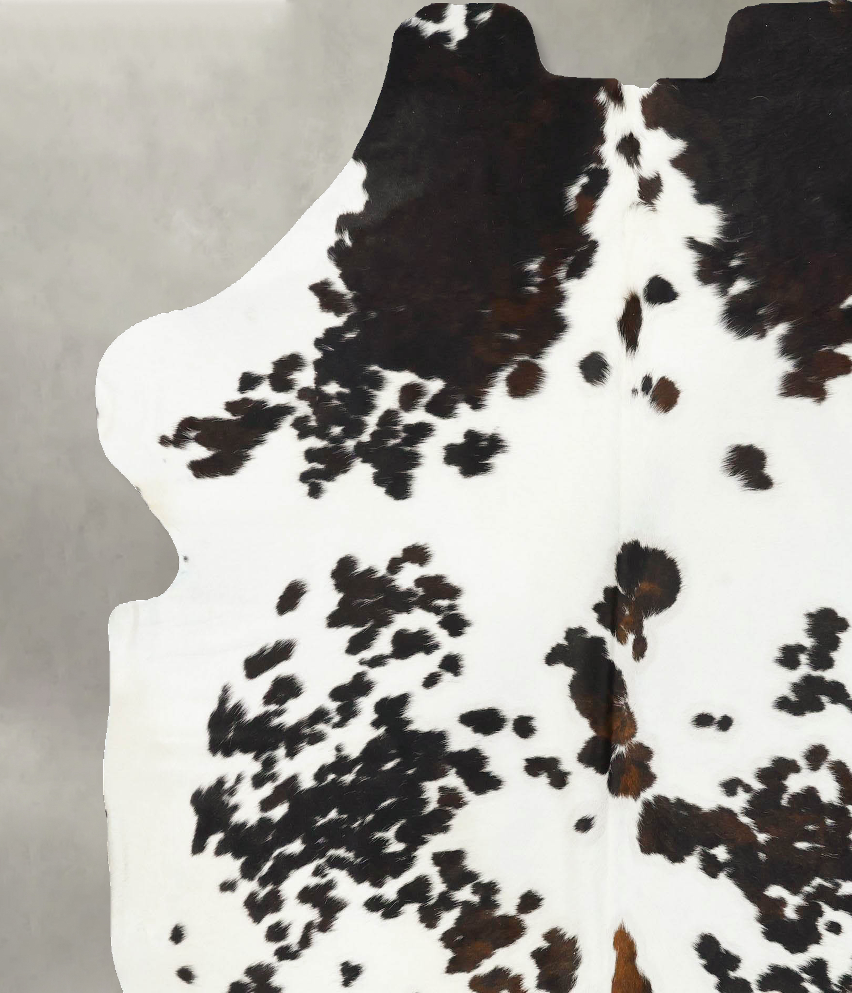 Tricolor Cowhide Rug #B23047