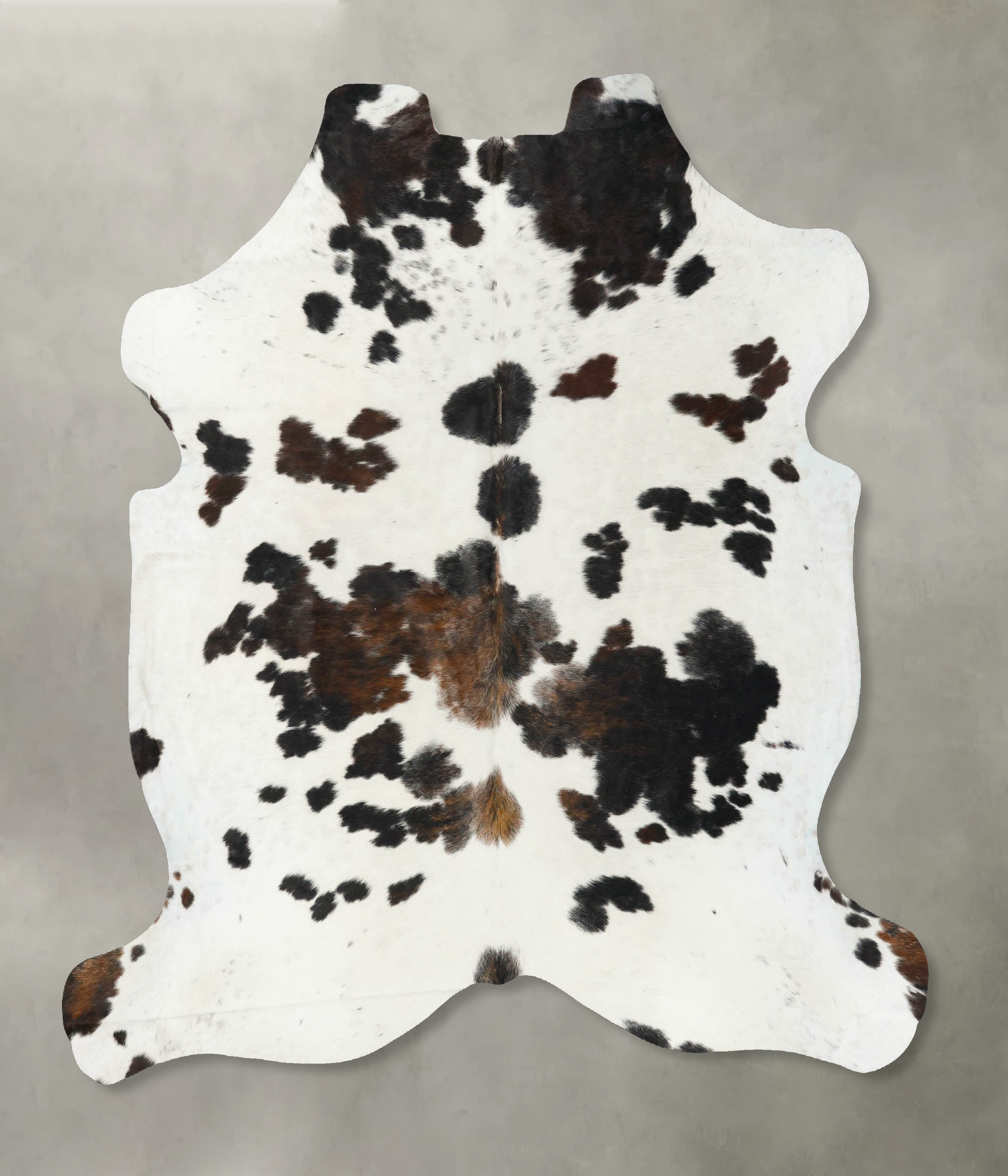 Tricolor Cowhide Rug #B23049