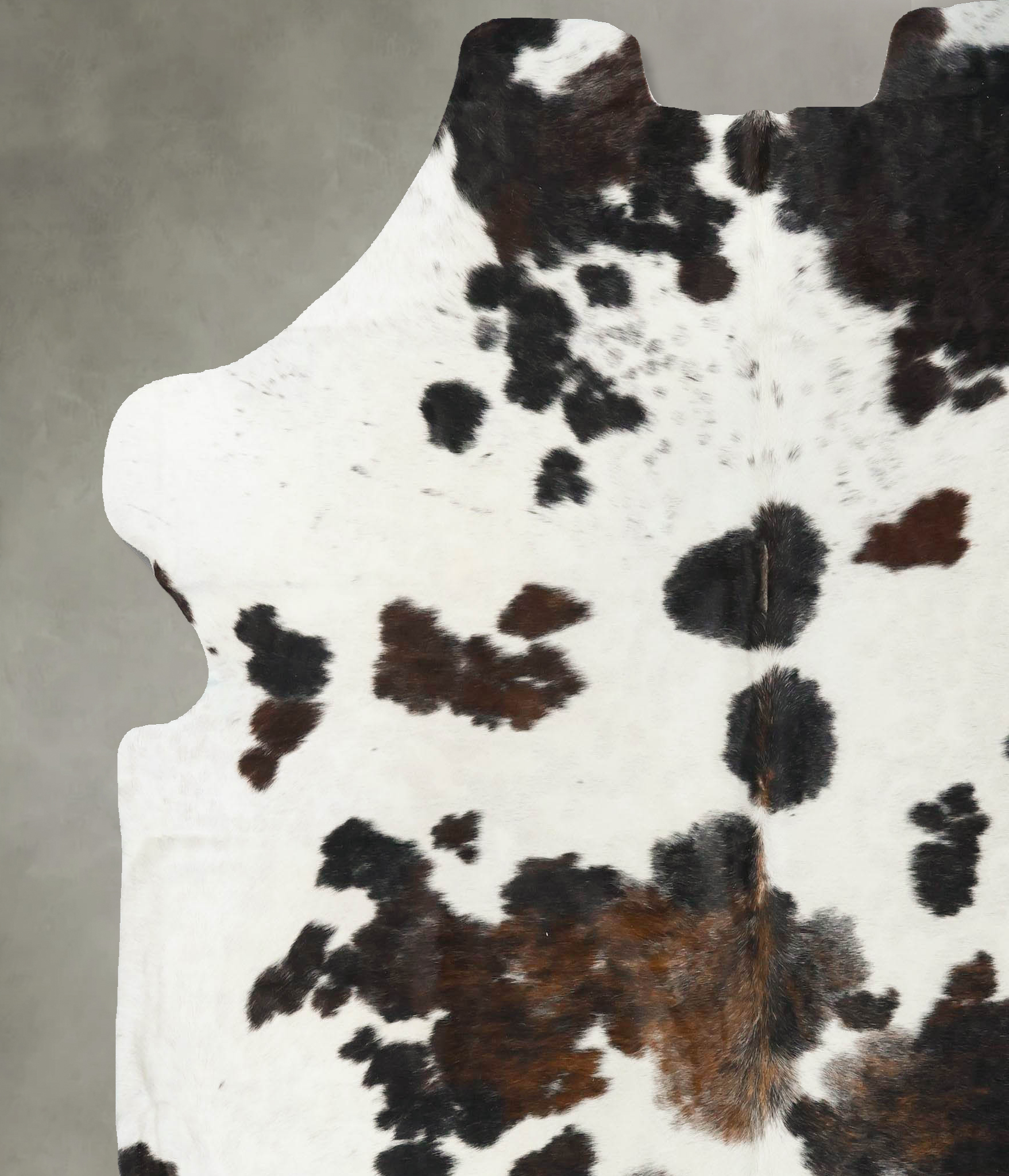Tricolor Cowhide Rug #B23049
