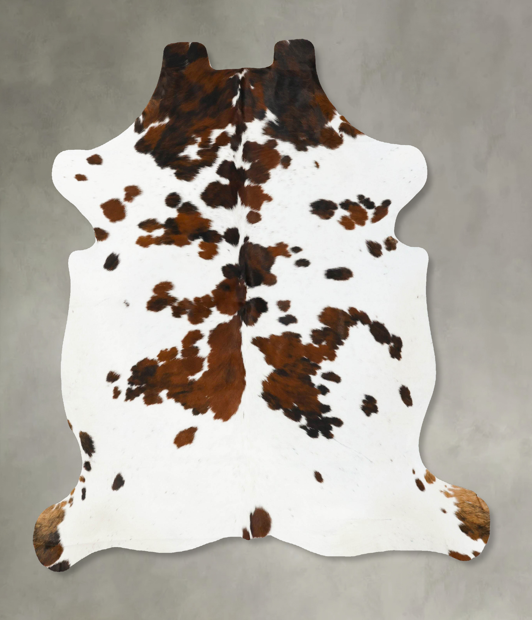 Tricolor Cowhide Rug #B23050