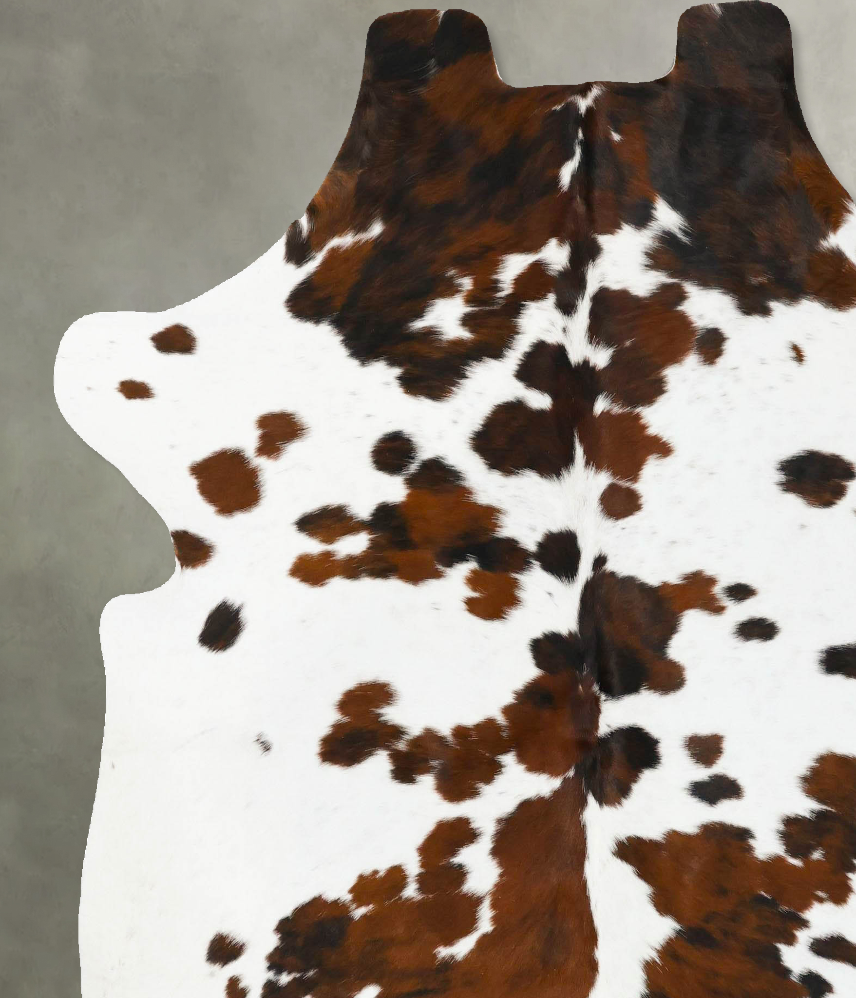 Tricolor Cowhide Rug #B23050
