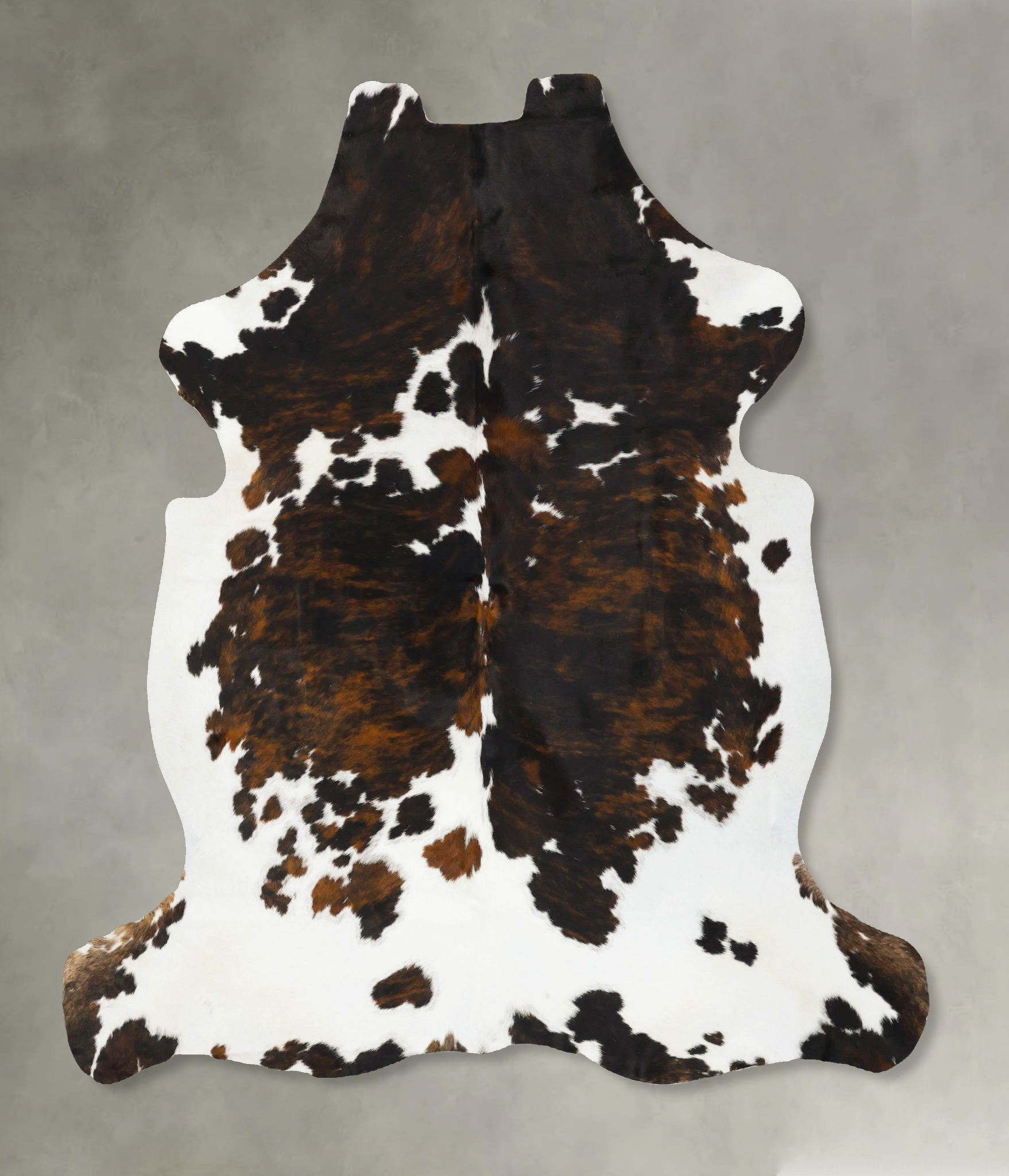 Tricolor Cowhide Rug #B23051