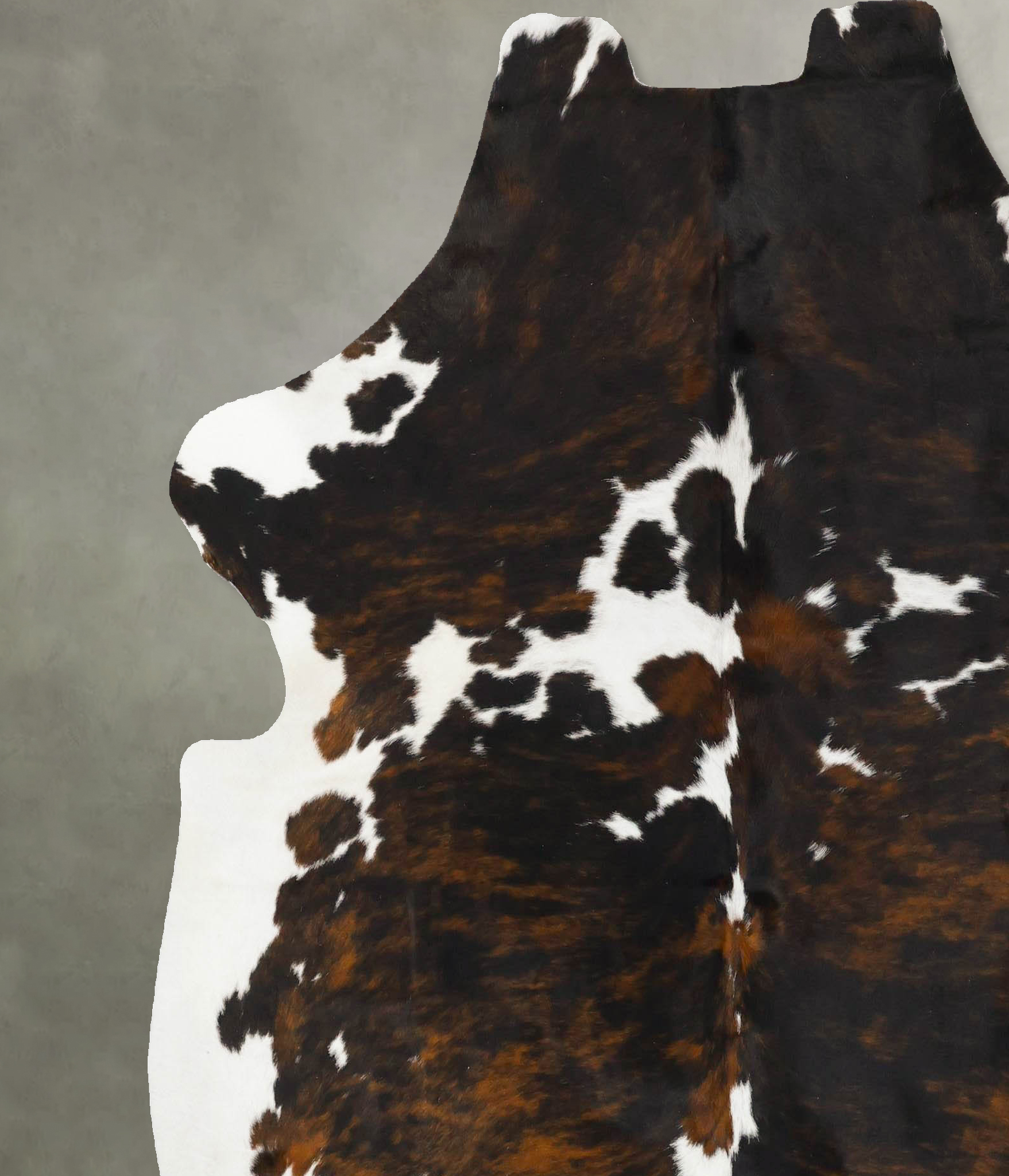 Tricolor Cowhide Rug #B23051