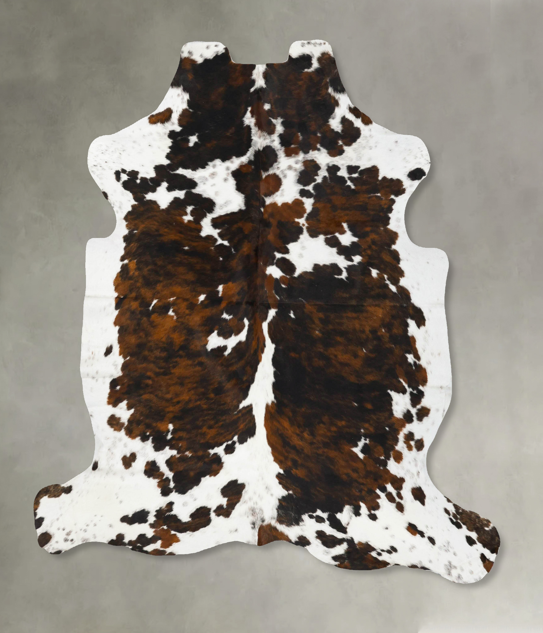 Tricolor Cowhide Rug #B23052