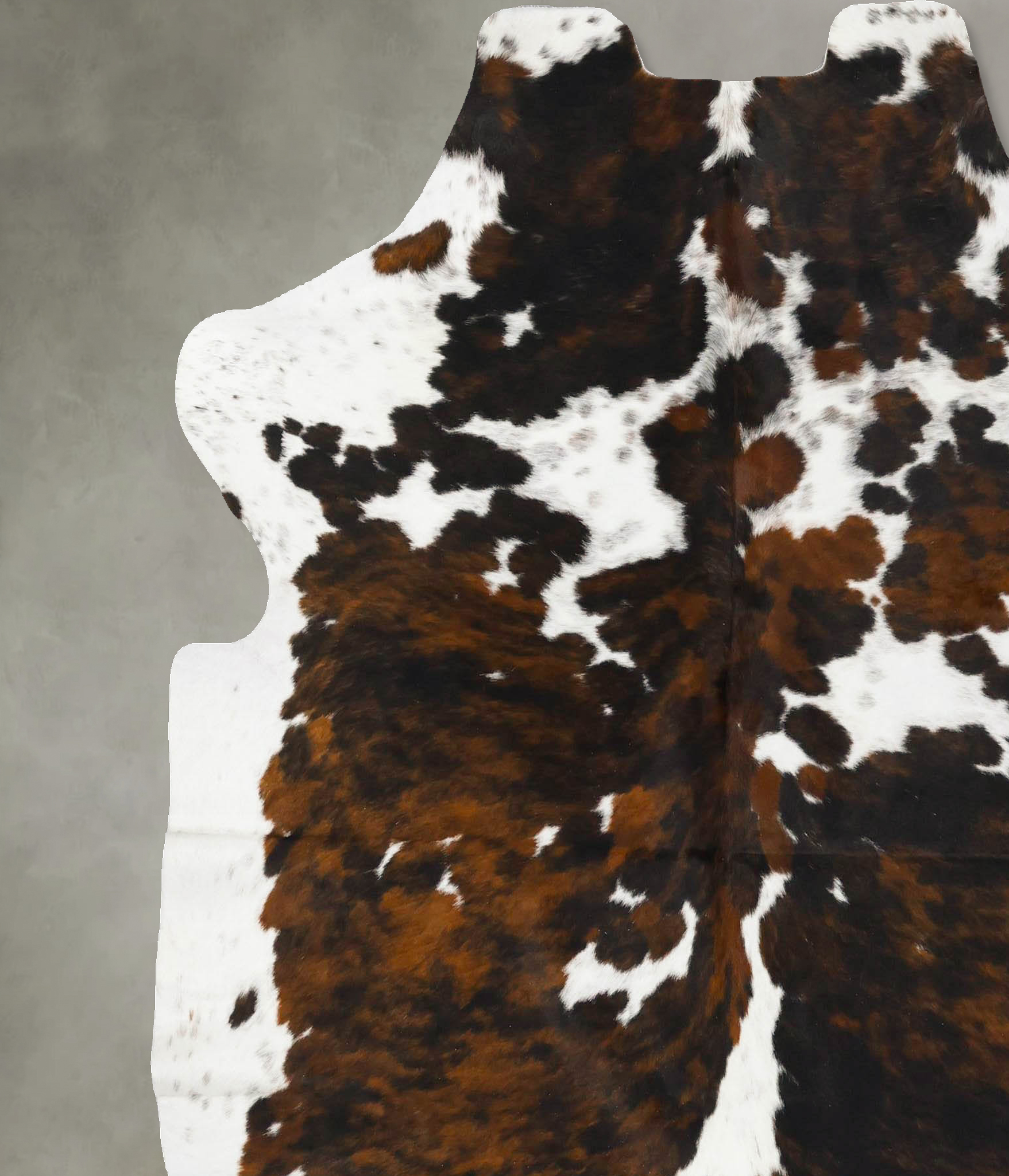 Tricolor Cowhide Rug #B23052