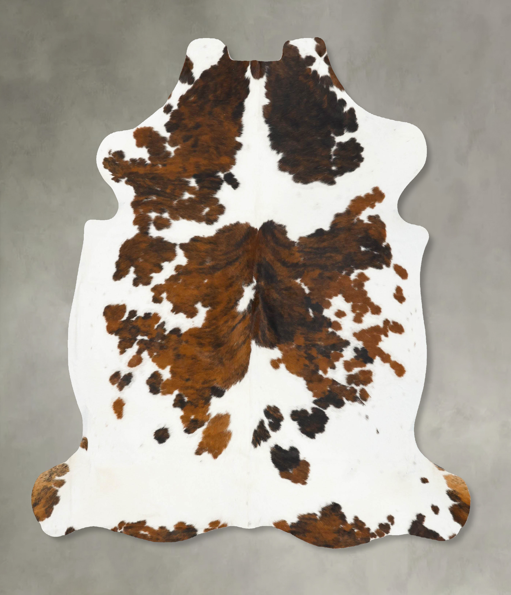 Tricolor Cowhide Rug #B23053