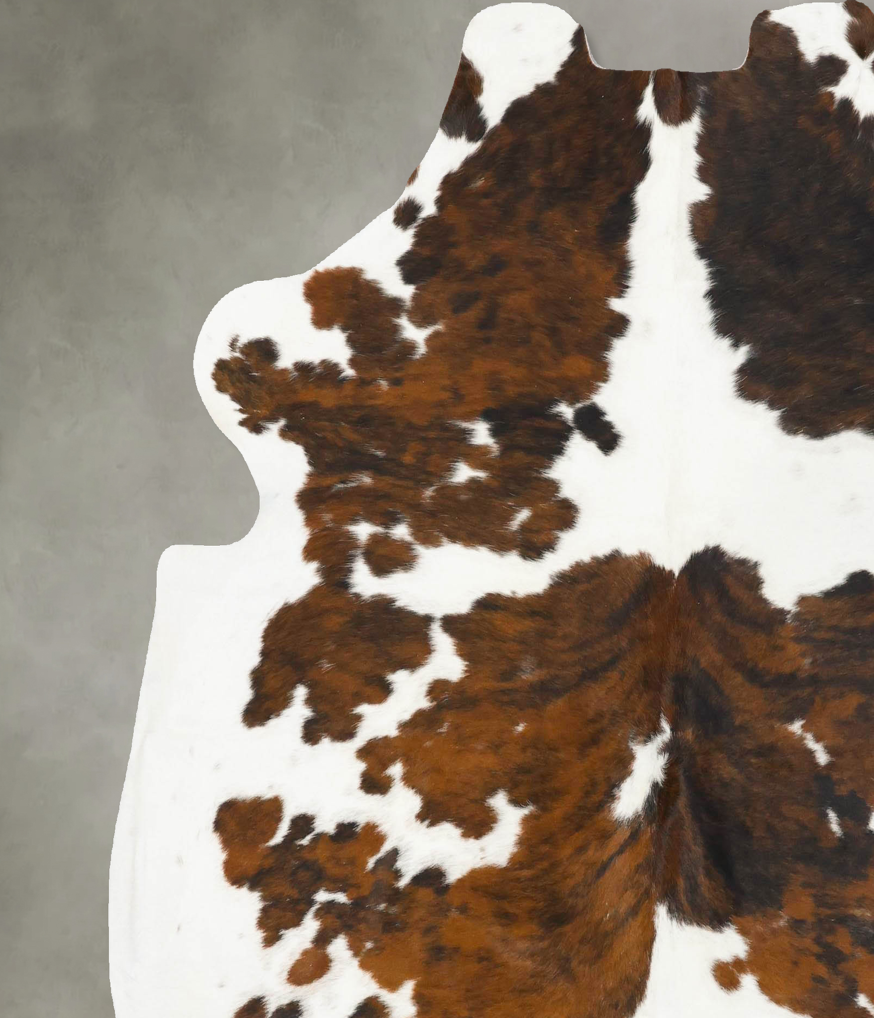 Tricolor Cowhide Rug #B23053