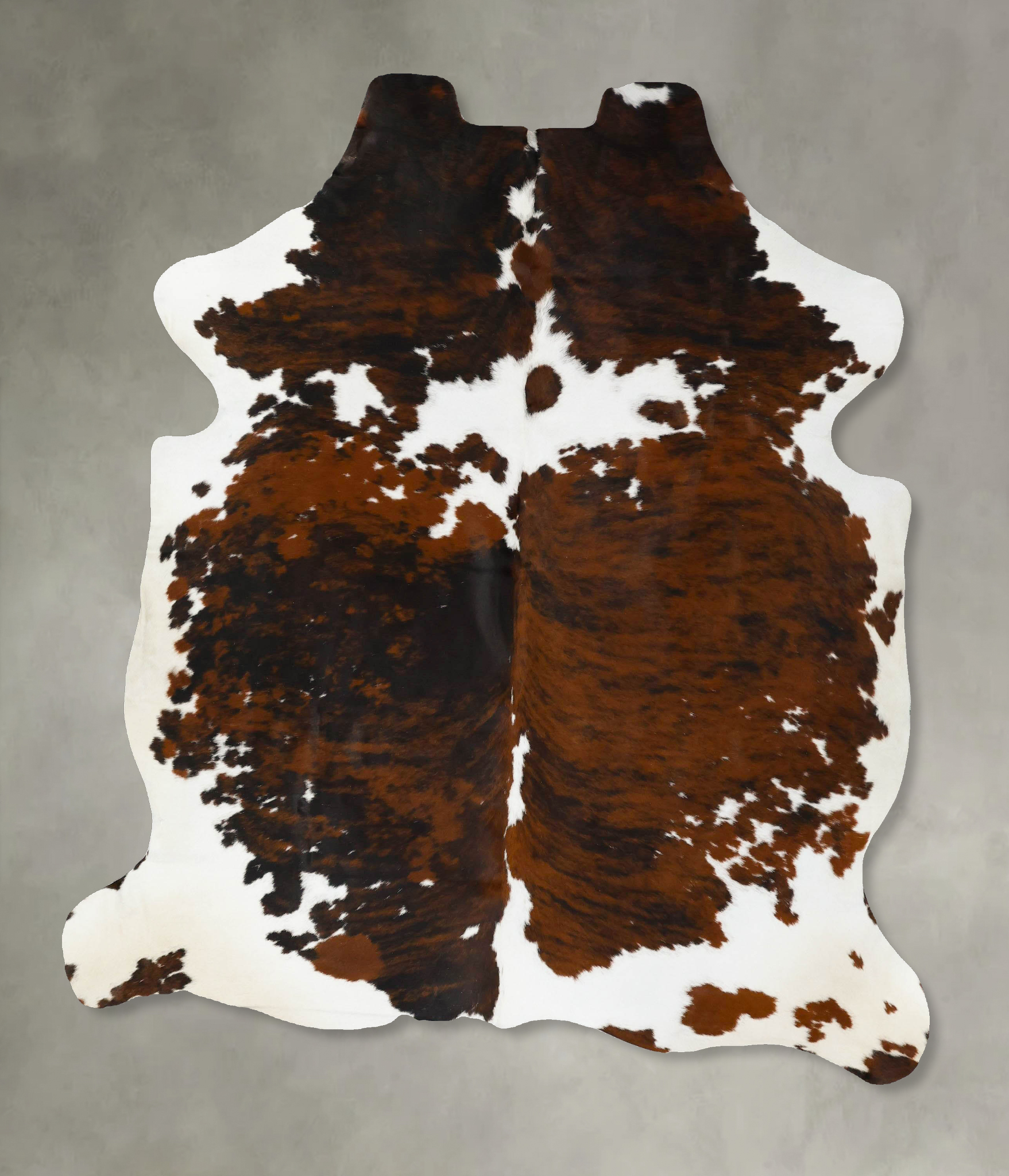 Tricolor Cowhide Rug #B23055