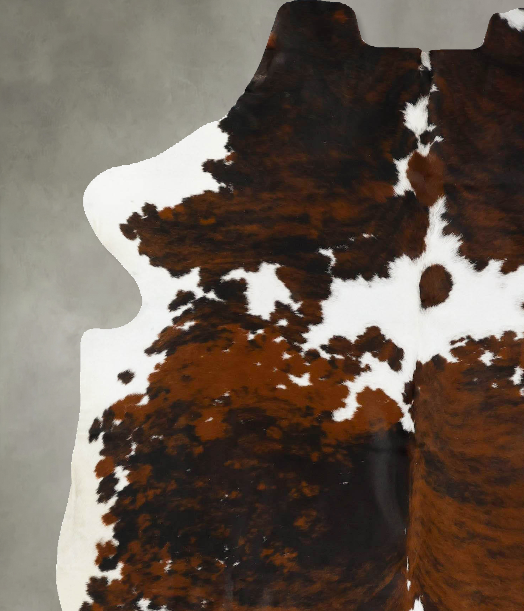 Tricolor Cowhide Rug #B23055