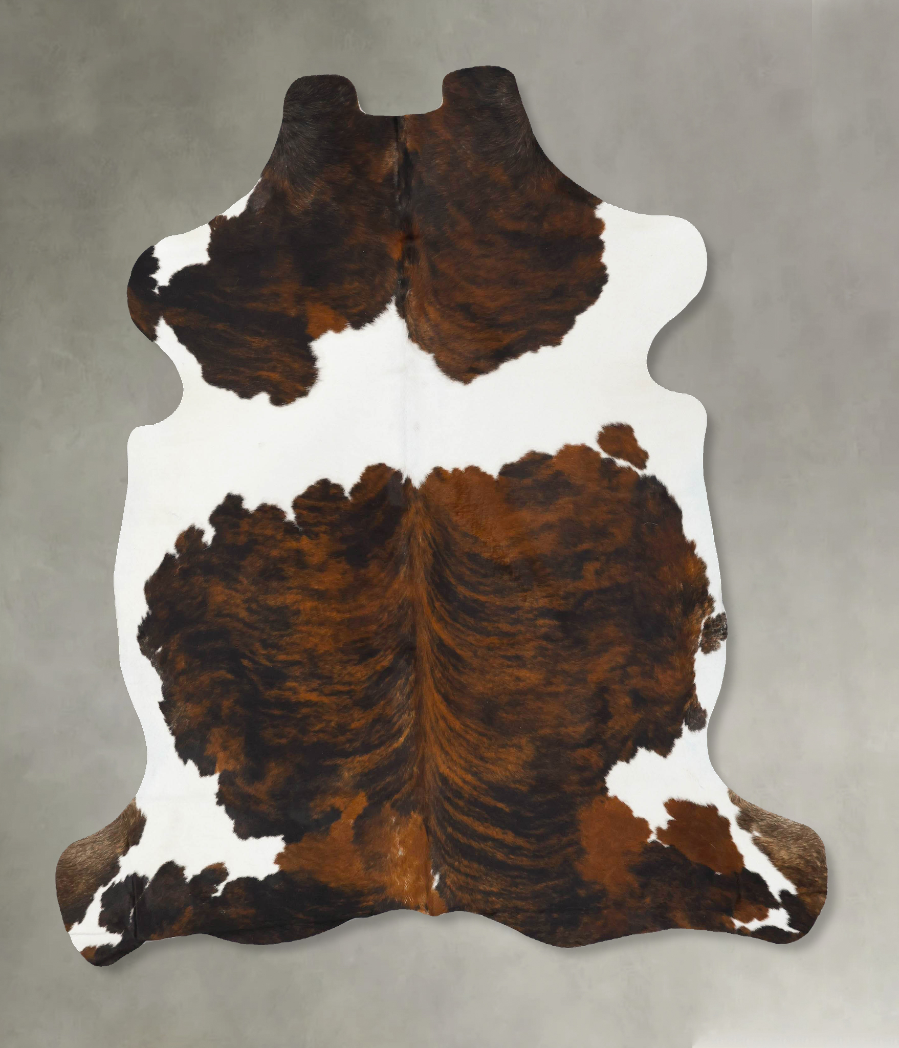 Tricolor Cowhide Rug #B23056