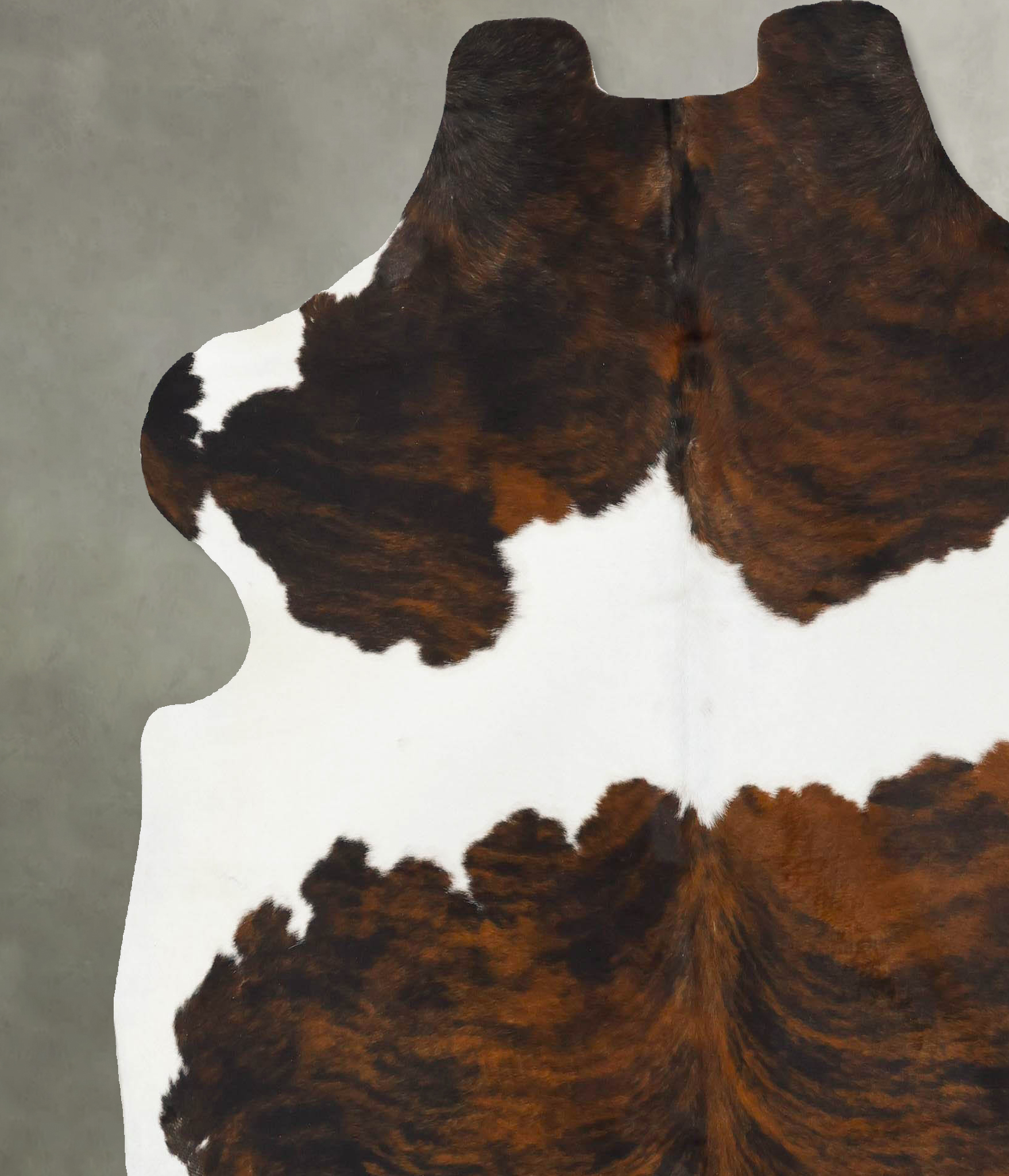 Tricolor Cowhide Rug #B23056