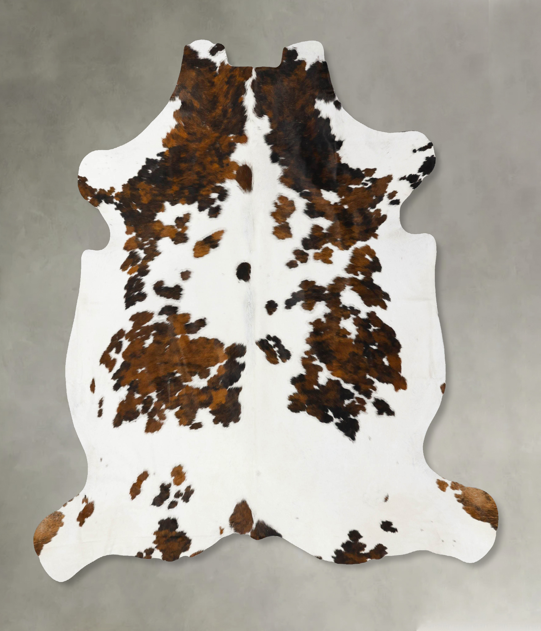 Tricolor Cowhide Rug #B23059
