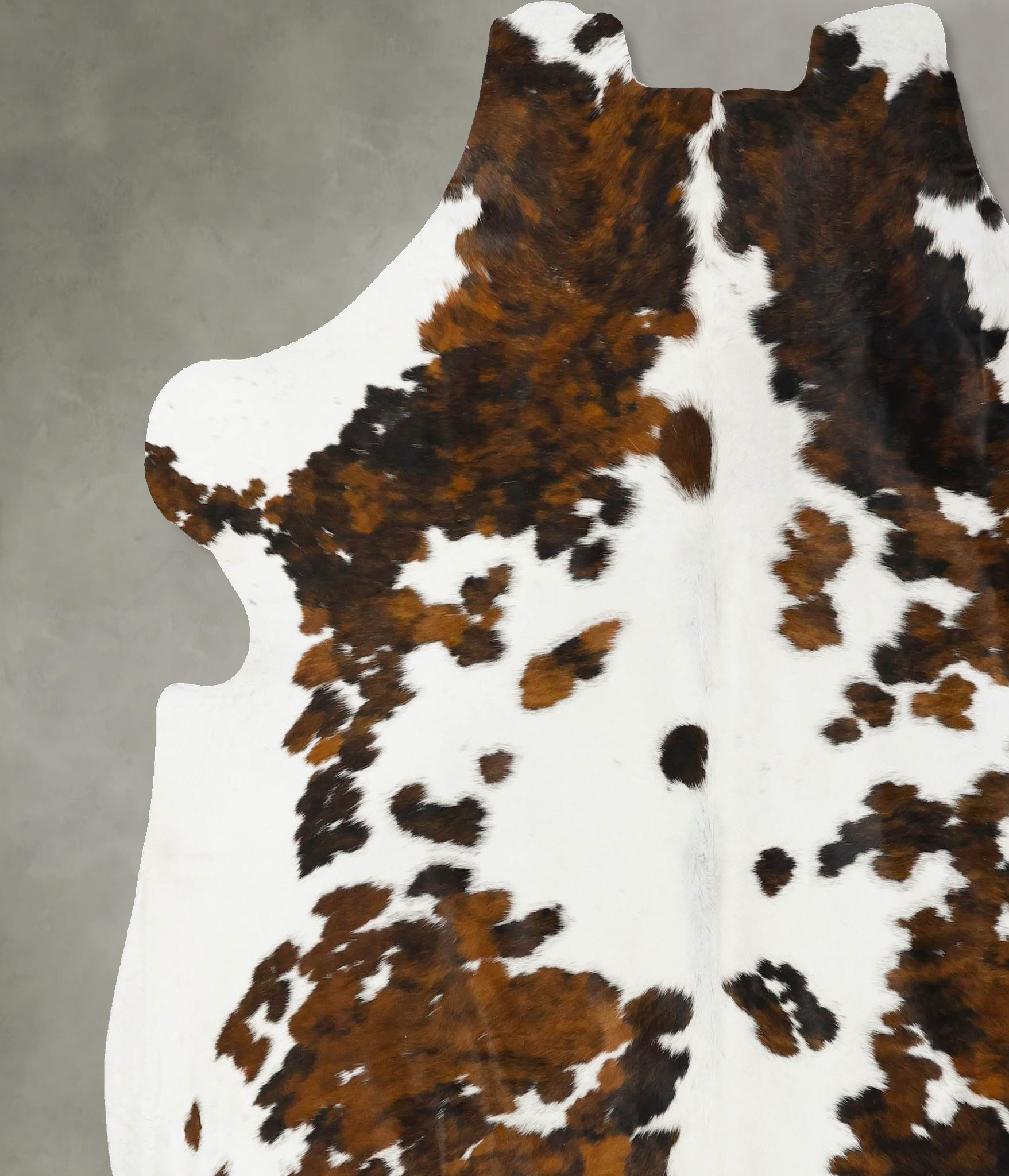 Tricolor Cowhide Rug #B23059