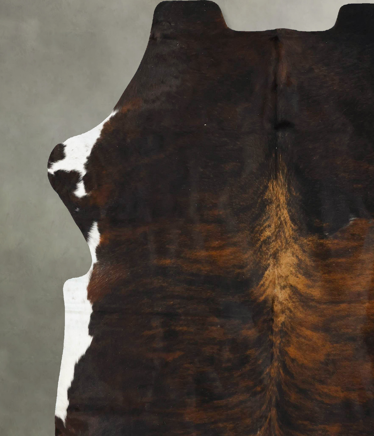 Tricolor XX-Large European Cowhide Rug 7'8"H x 6'11"W #B23061 by Hudson Hides