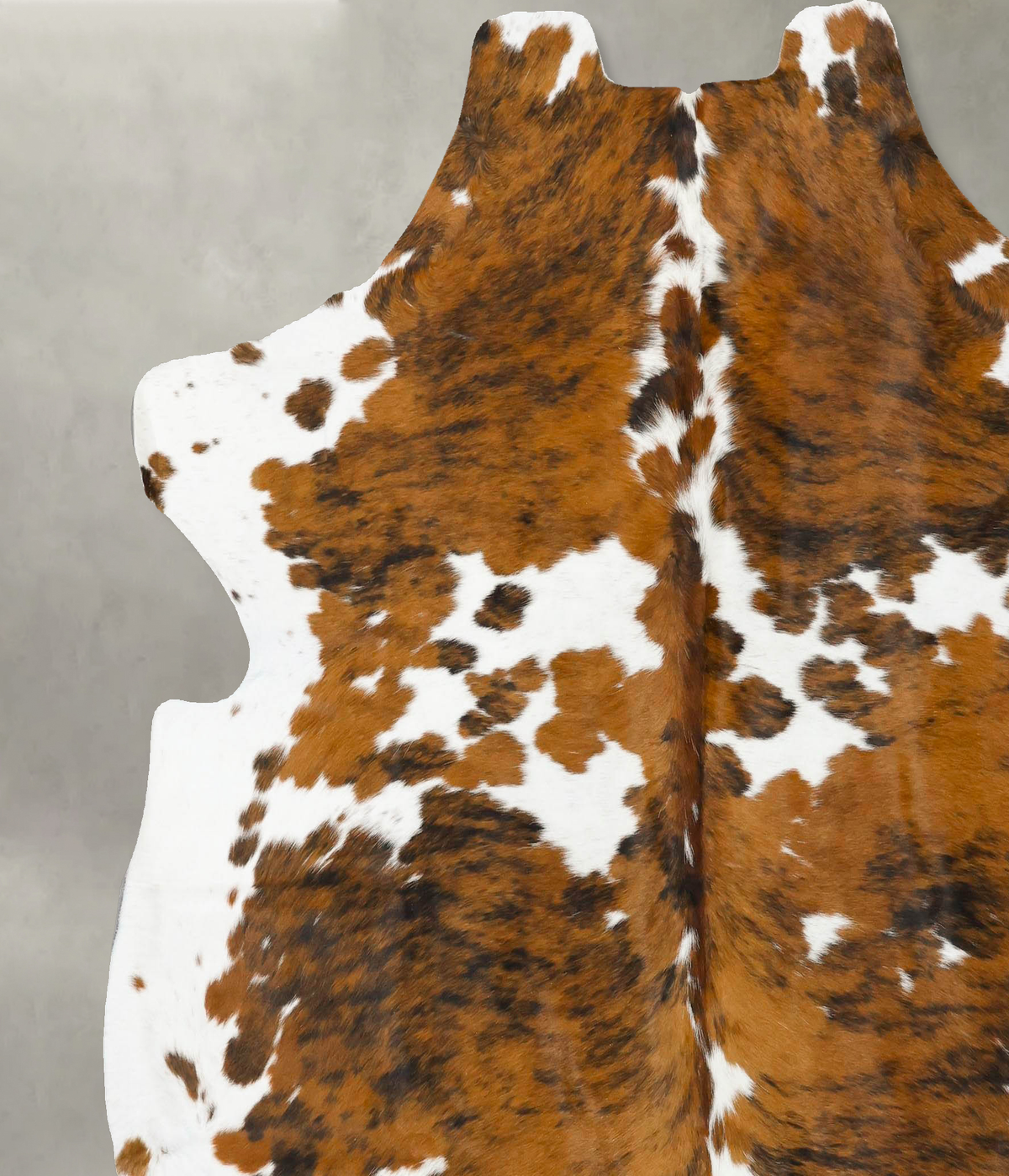 Tricolor X-Large European Cowhide Rug 7'2"H x 7'0"W #B23064 by Hudson Hides