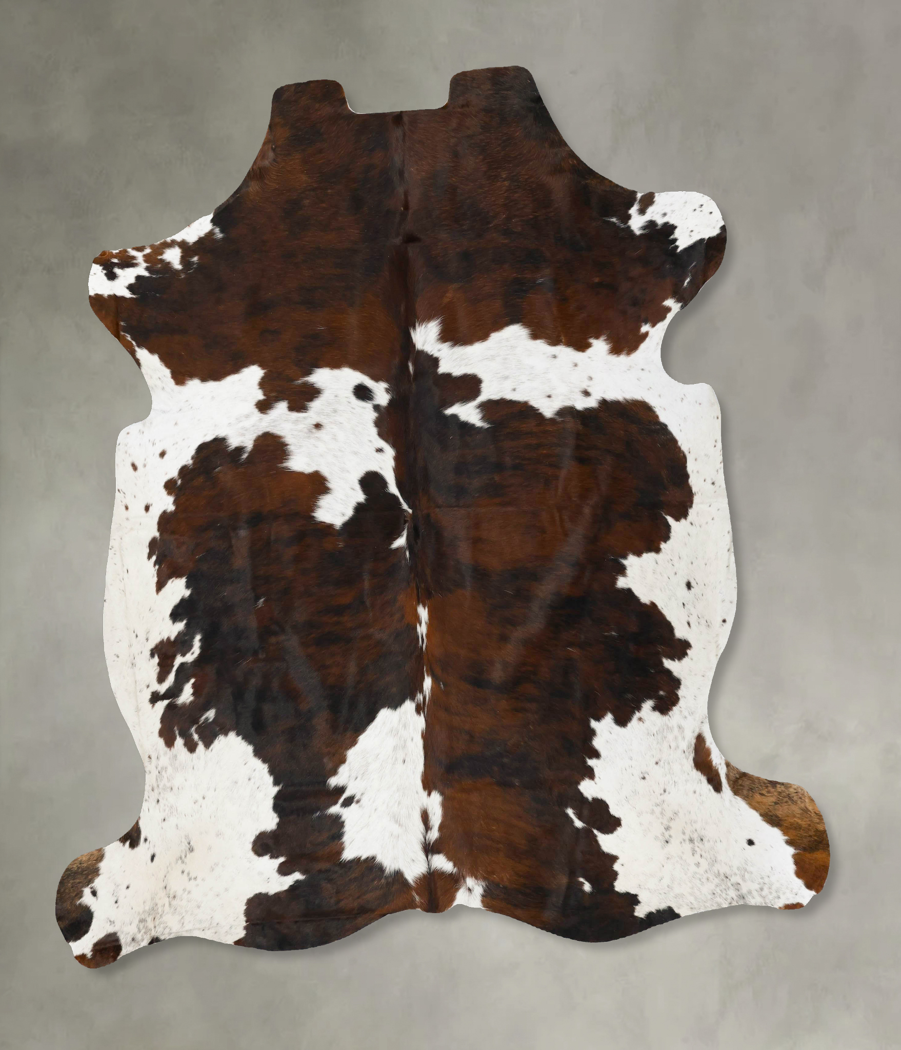 Tricolor Cowhide Rug #B23066