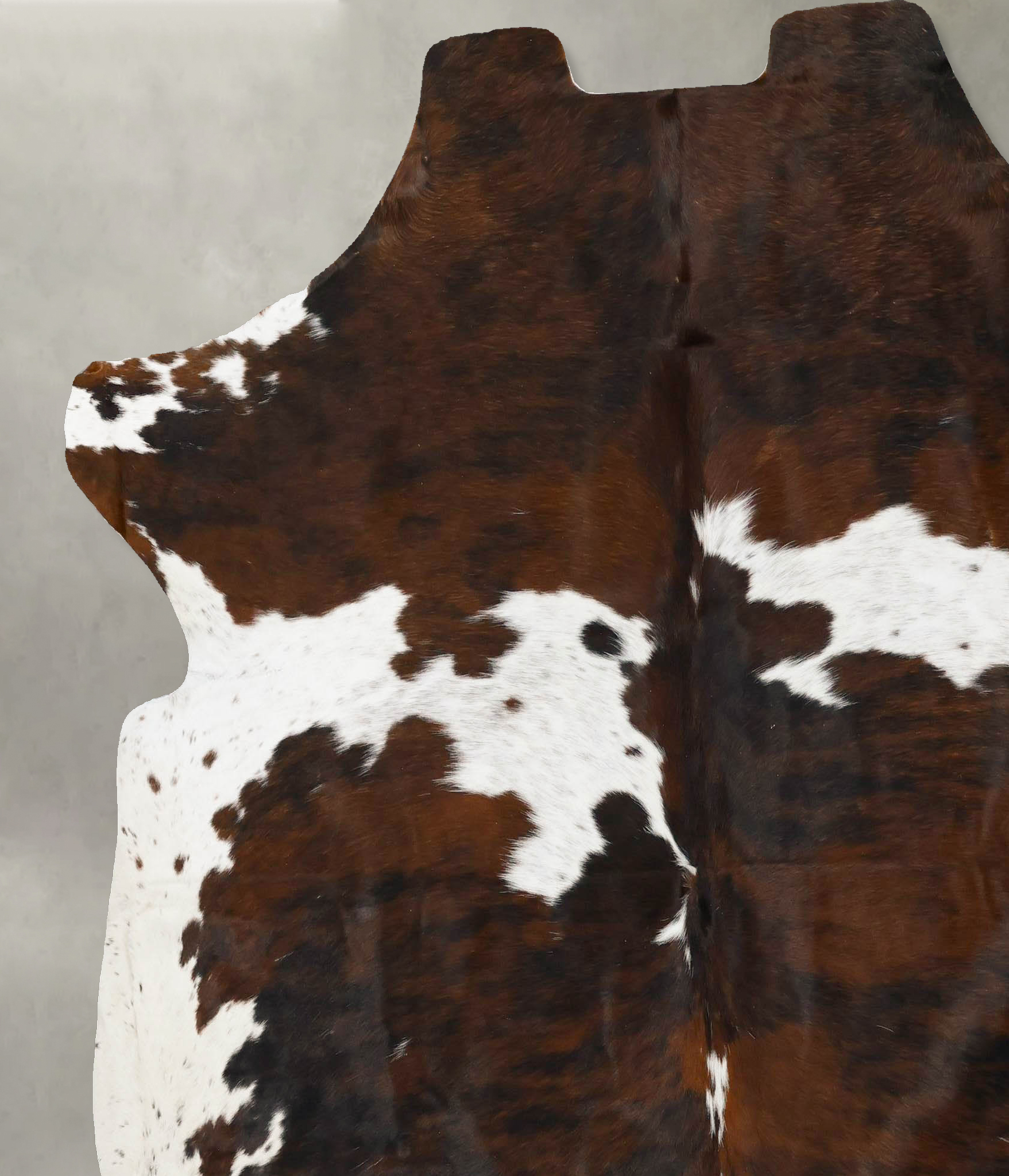 Tricolor Cowhide Rug #B23066