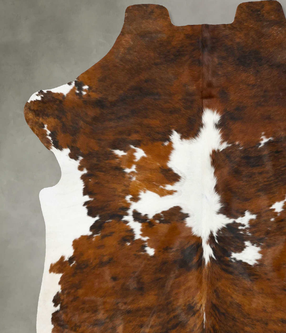 Tricolor X-Large European Cowhide Rug 7'7"H x 6'2"W #B23067 by Hudson Hides